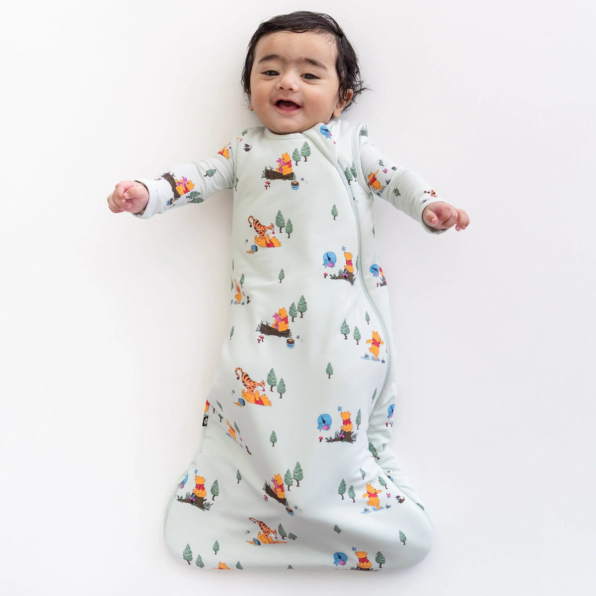 Sleep Bag in Winnie the Pooh Hundred Acre Wood 1.0 Main image