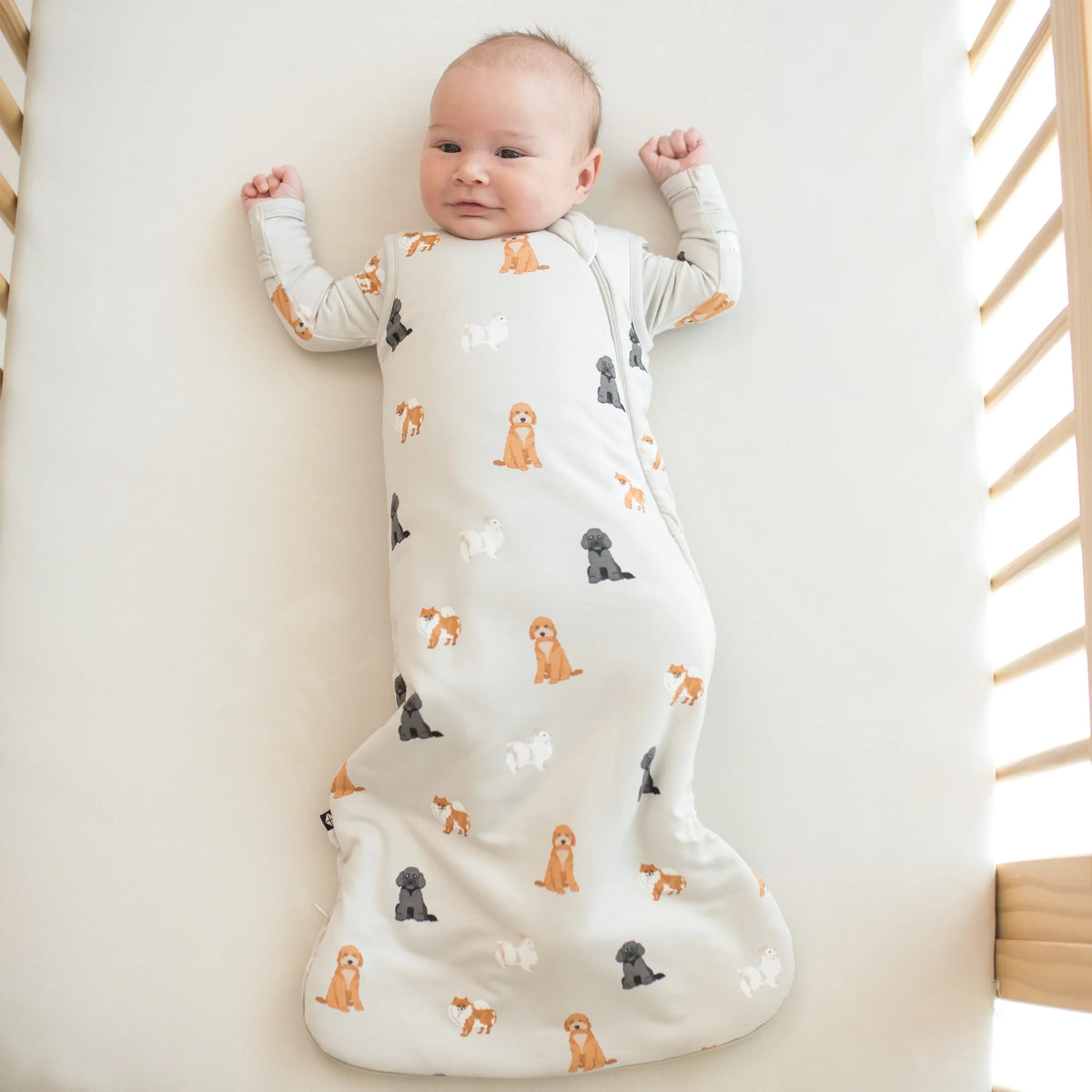 Sleep Bag in Fluffy Dog 1.0 Main image