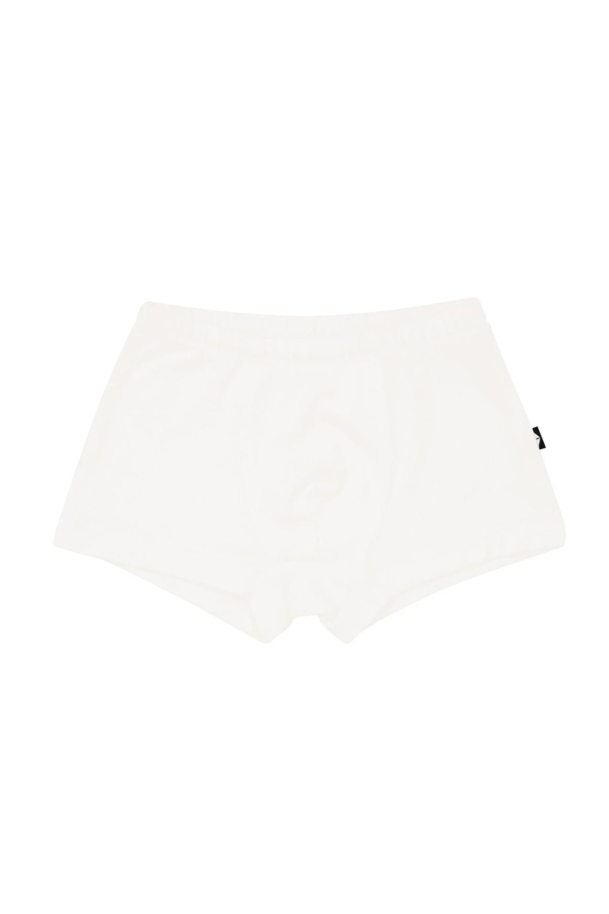 Briefs in Cloud Main image