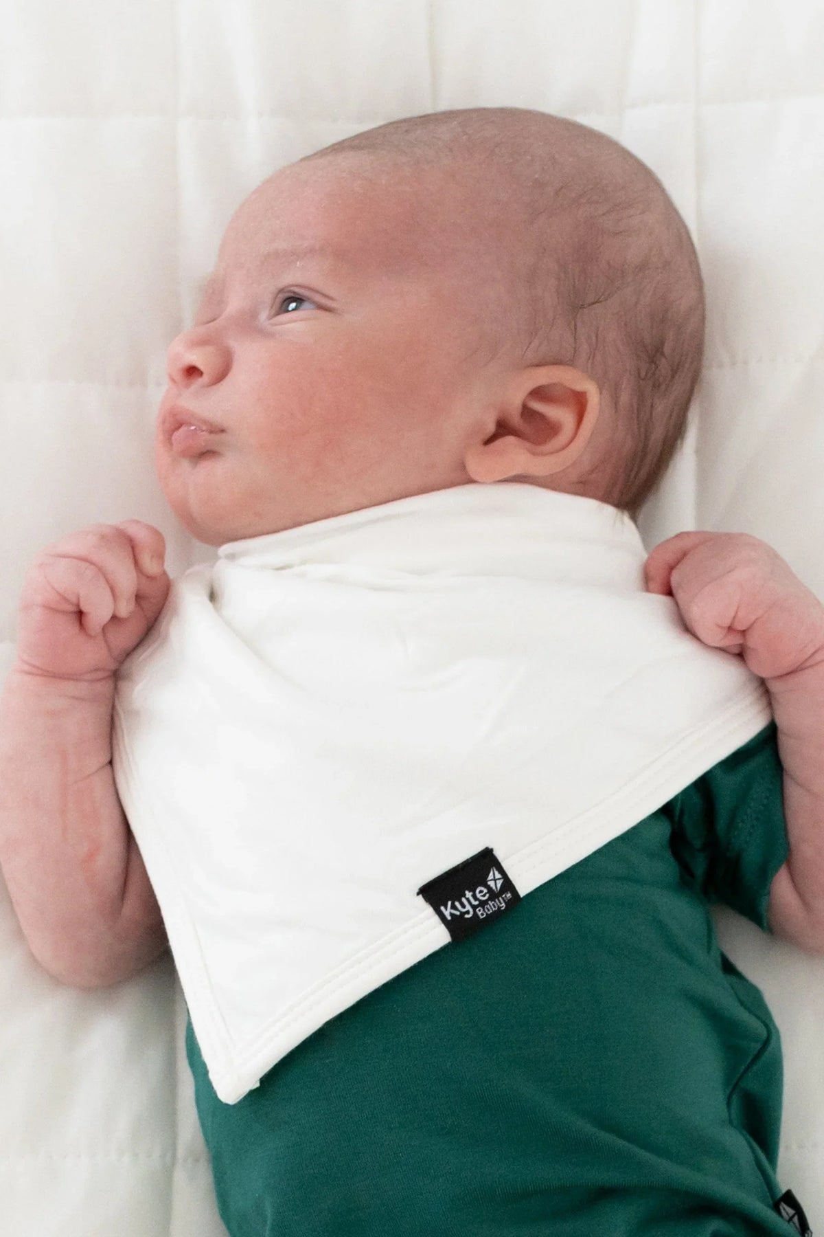 Bib in Cloud Main image