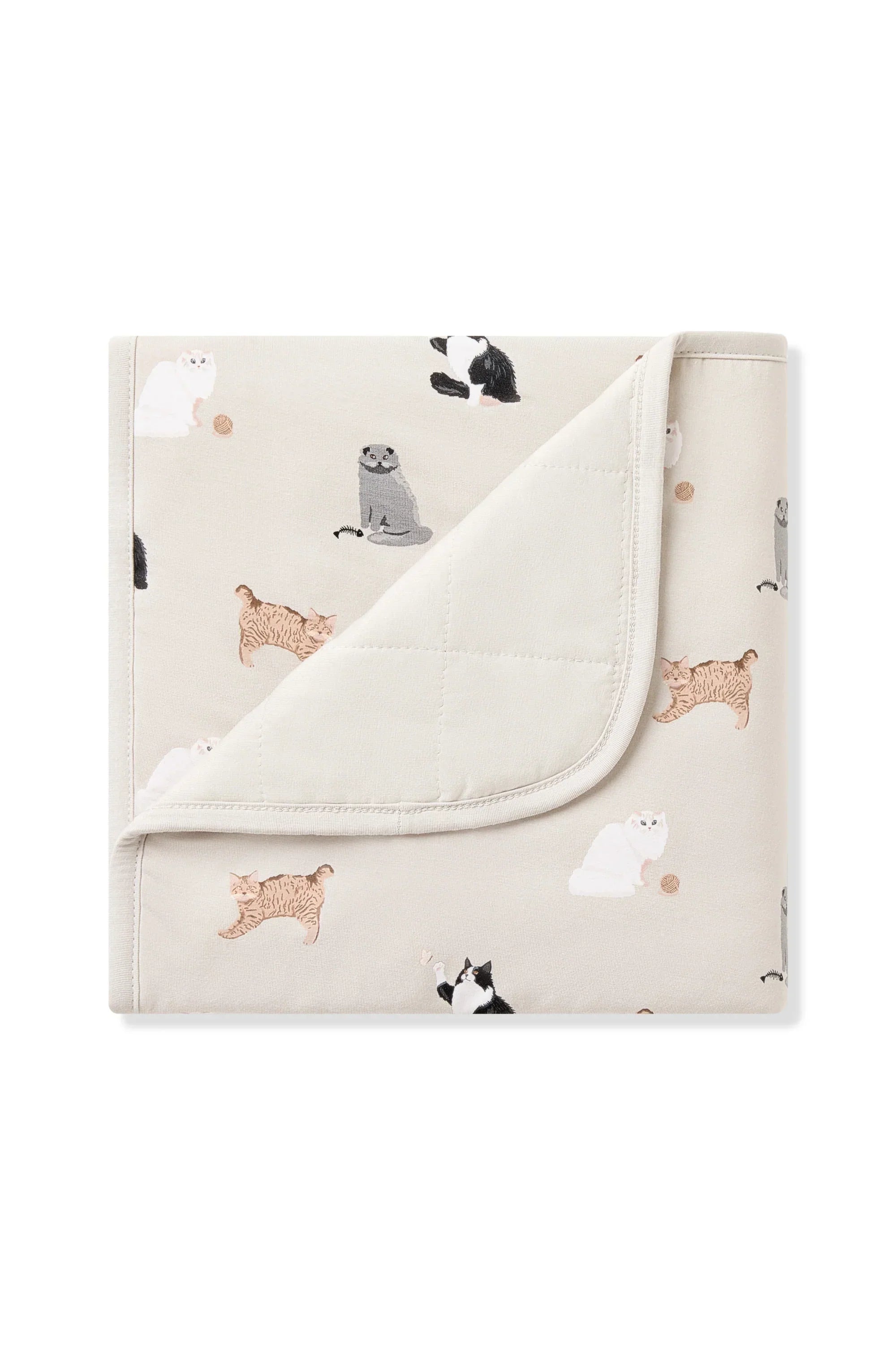 Baby Blanket in Fluffy Cat Secondary image