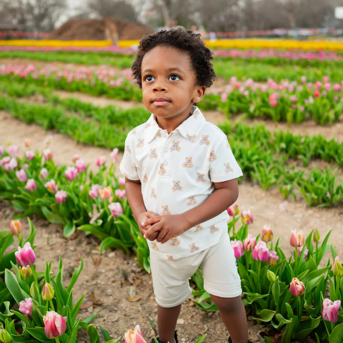 Toddler Short Sleeve Polo in Teddy Bear Main image