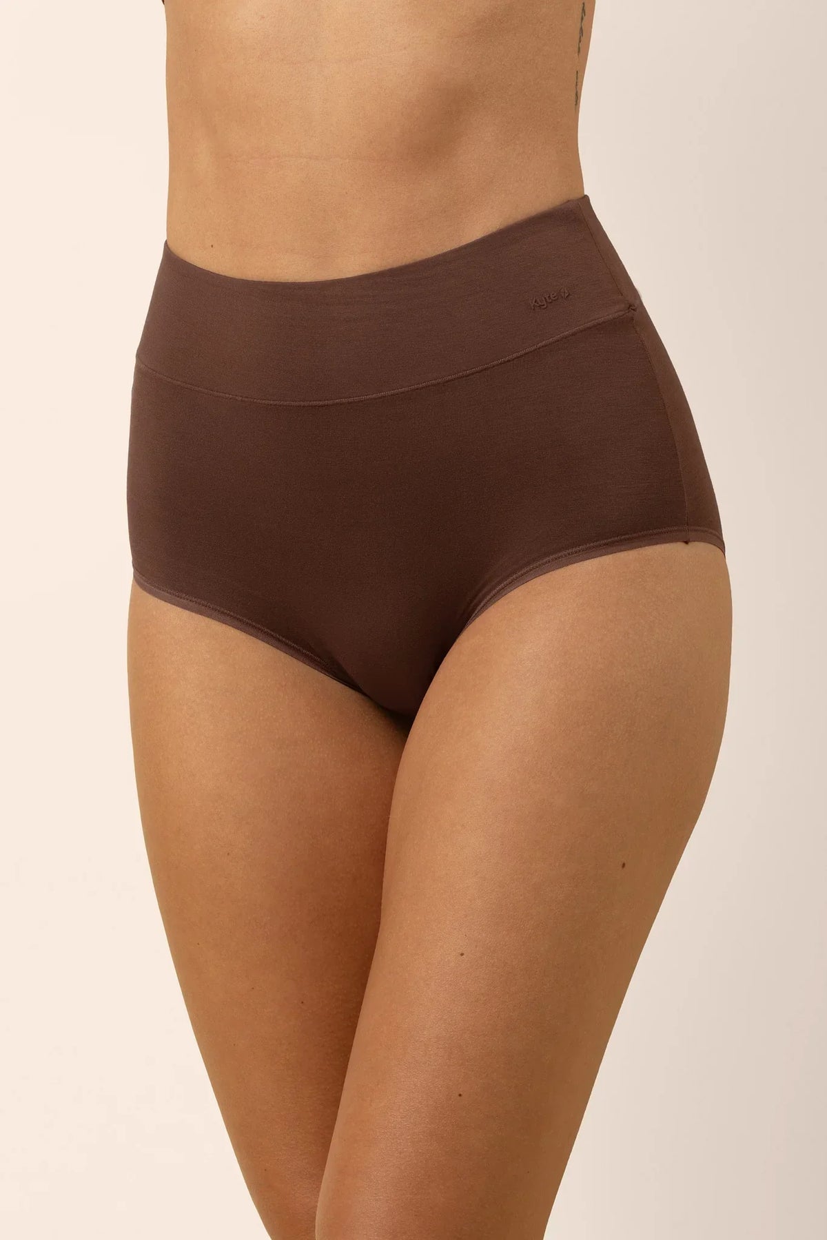 Women's High-Waisted Brief in Toffee Main image