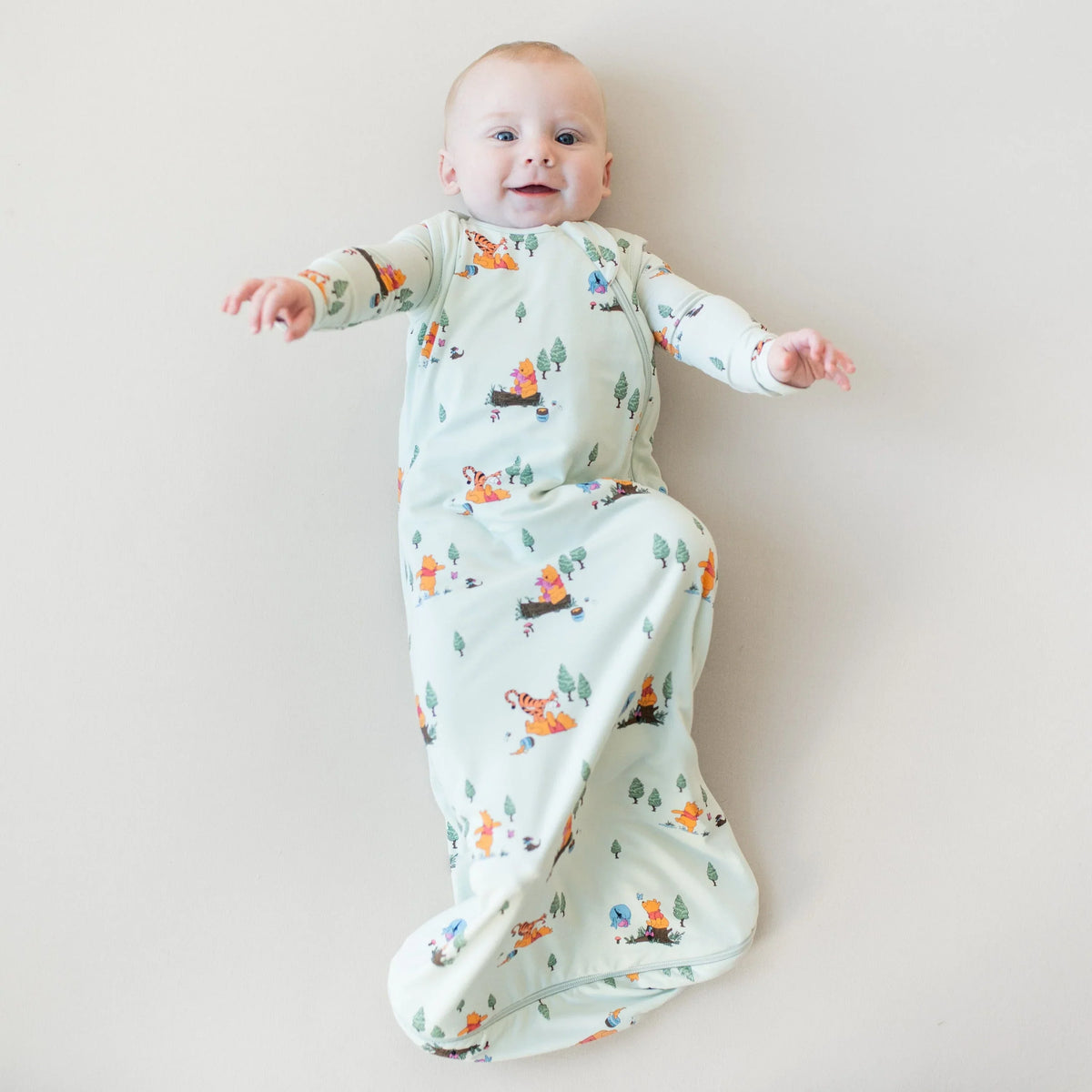 Sleep Bag in Winnie the Pooh Hundred Acre Wood 0.5 Main image