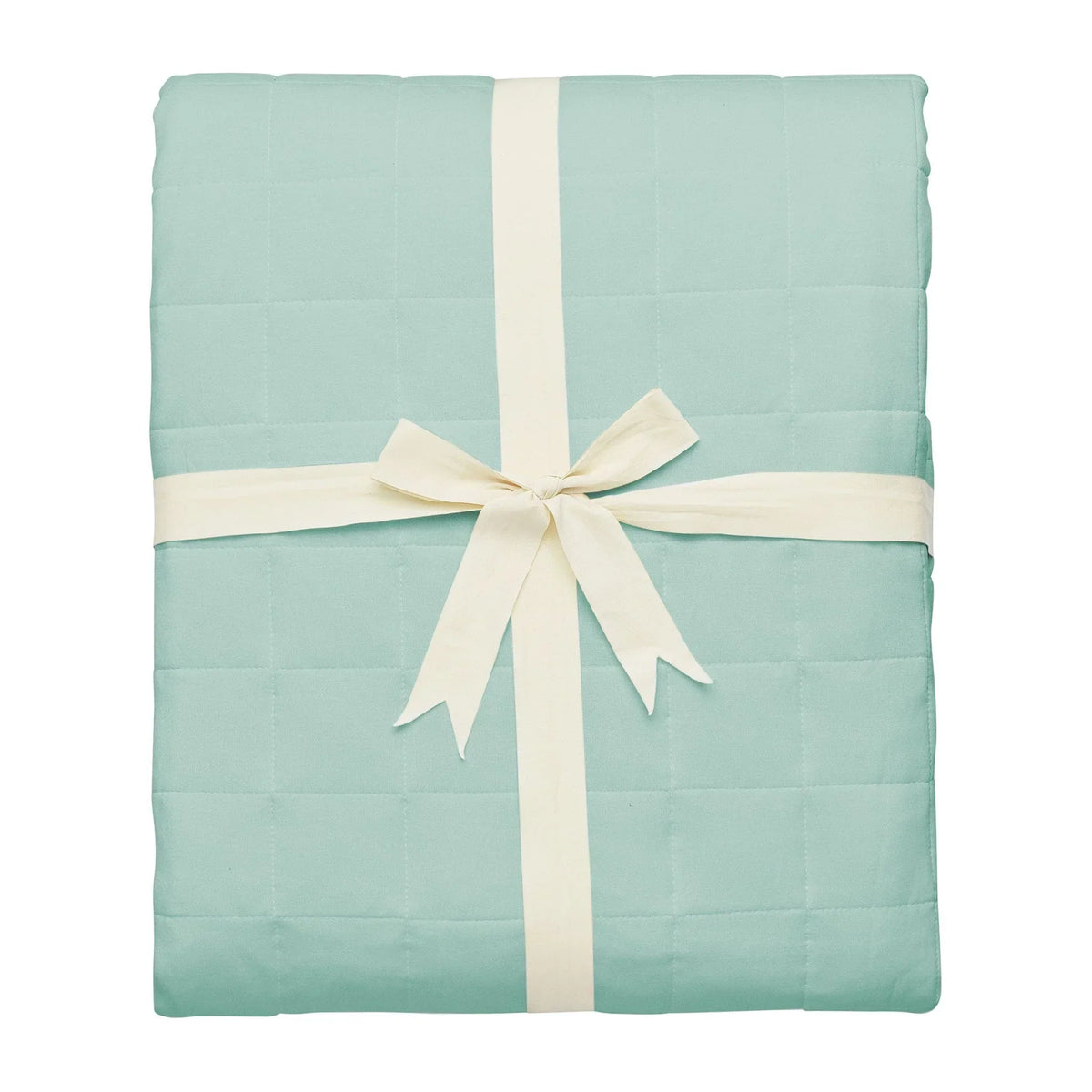 Adult Quilted Blanket in Sage 2.5 Main image