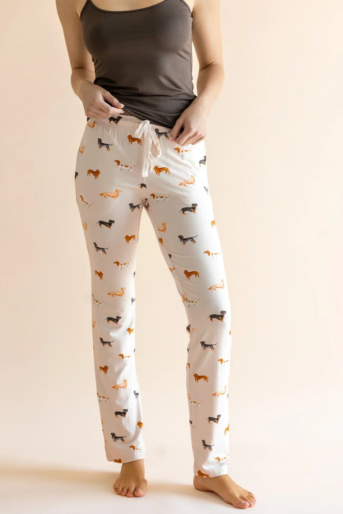 Women's Lounge Pants in Dachshund Main image
