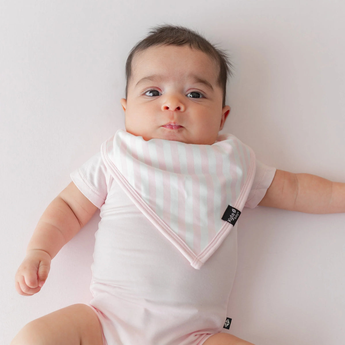 Bib in Small Sakura Stripe Main image