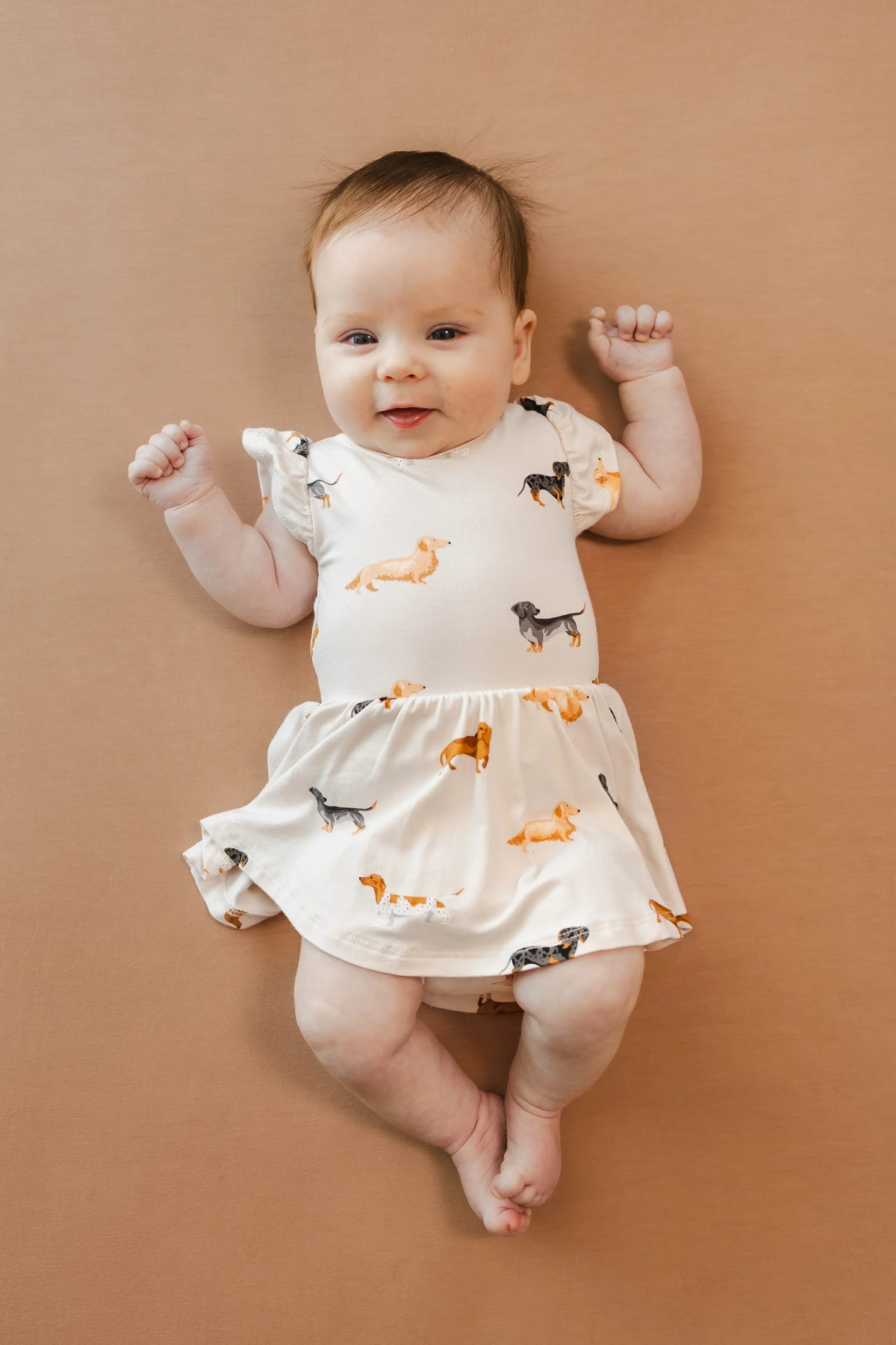 Twirl Bodysuit Dress in Dachshund Main image