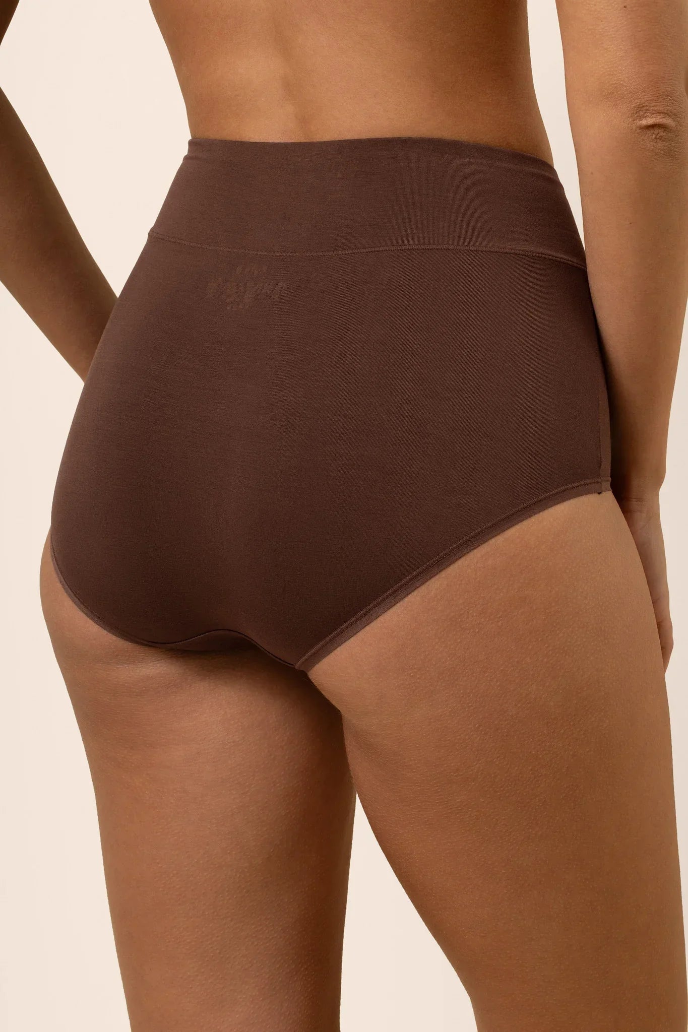 Women's High-Waisted Brief in Toffee Secondary image