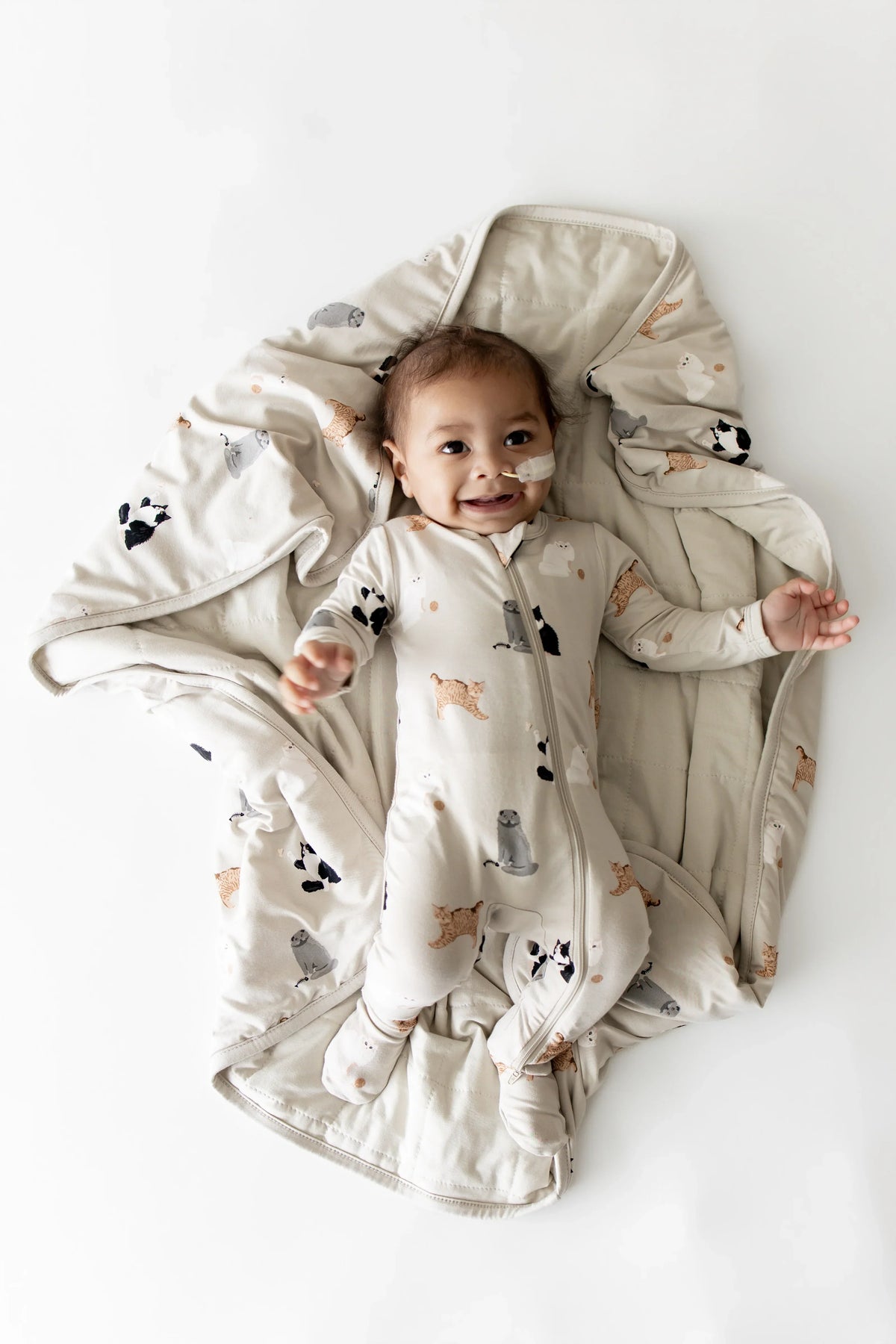 Baby Blanket in Fluffy Cat Main image