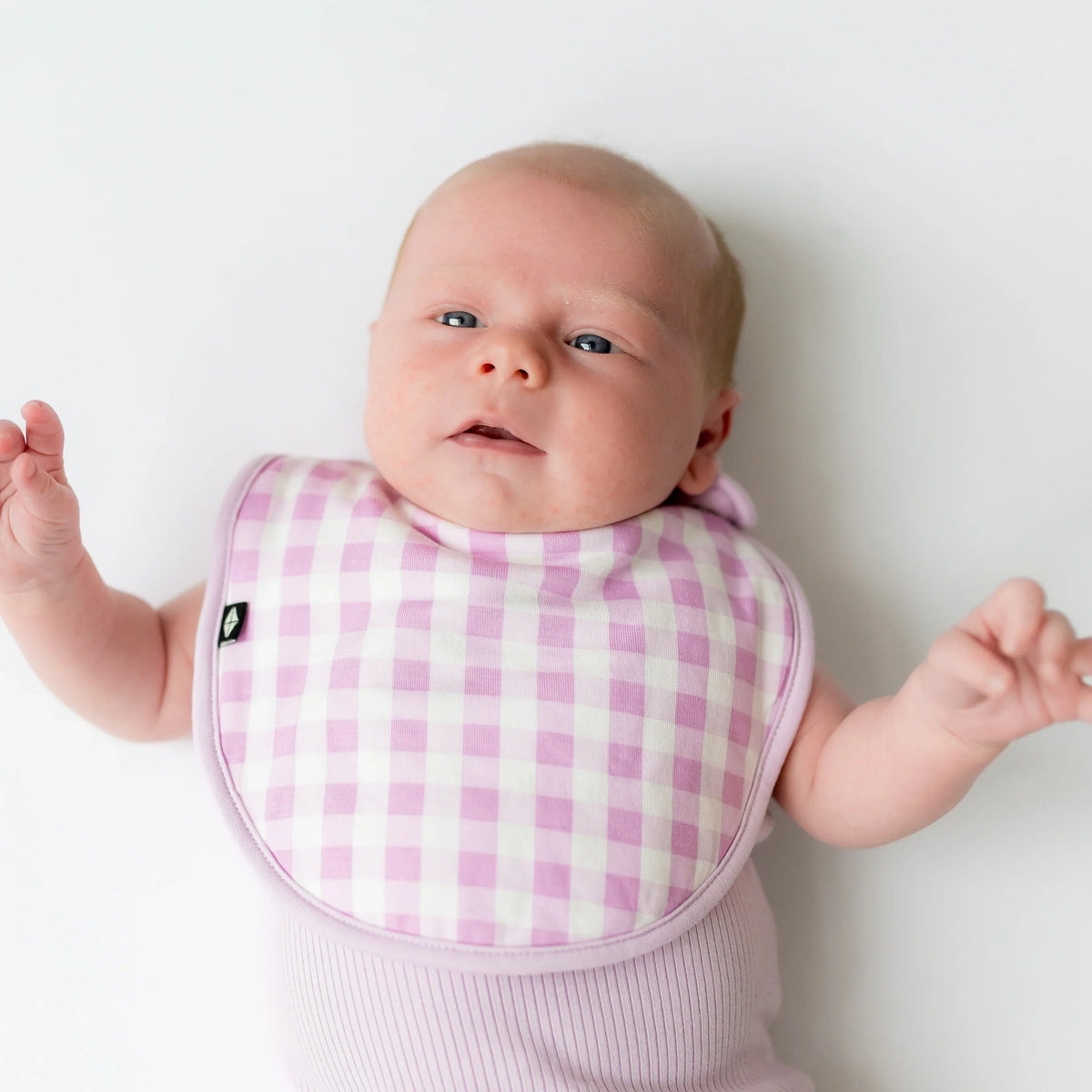 Cushy Bib in Gingham Thistle Main image