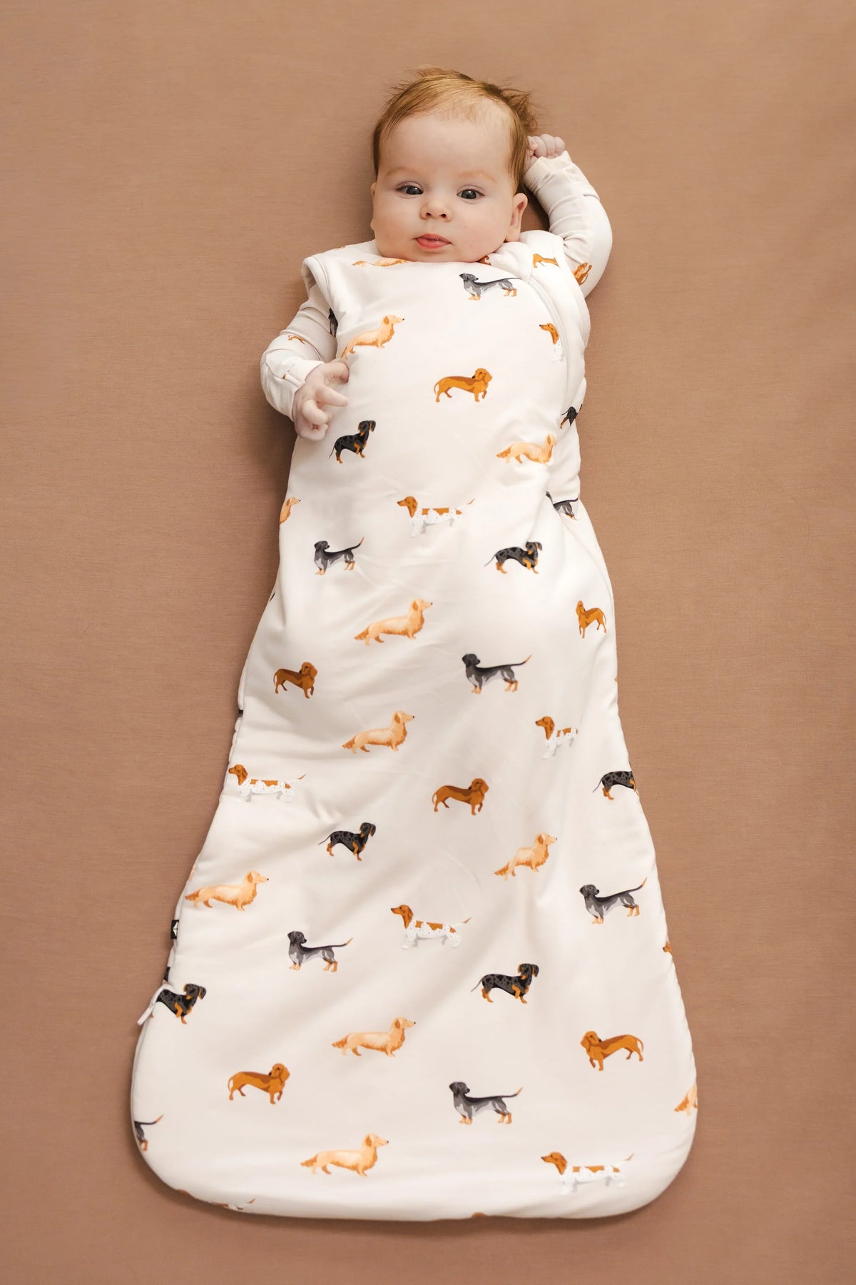 Sleep Bag in Dachshund 1.0 Main image