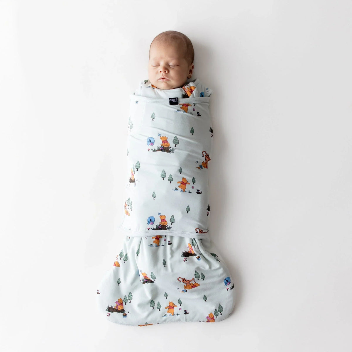 Sleep Bag Swaddler in Winnie the Pooh Hundred Acre Wood 1.0 Main image