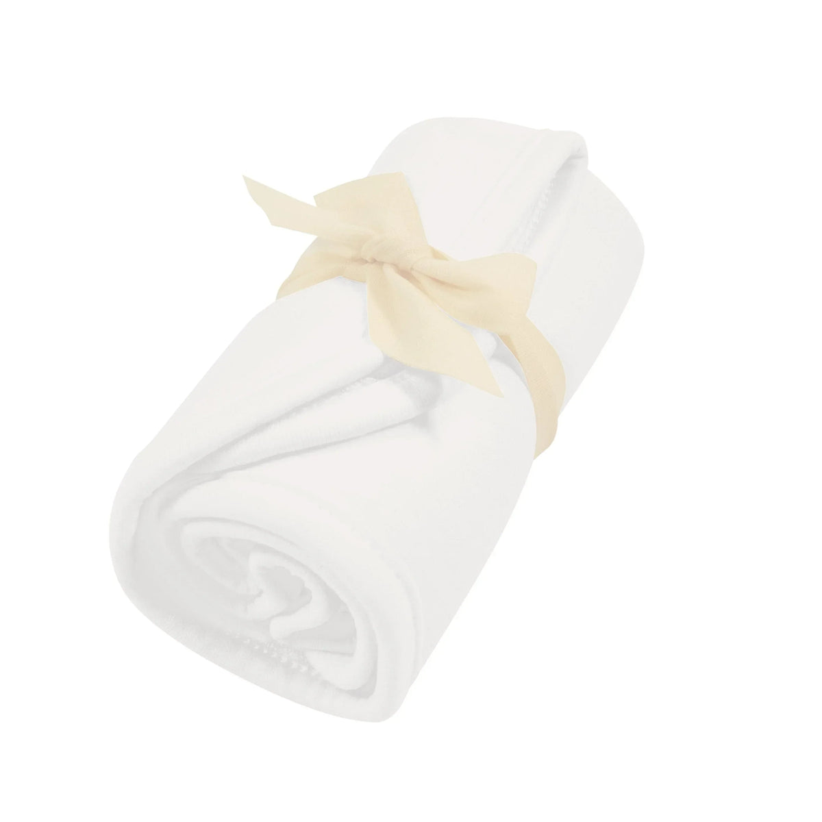 Burp Cloth in Cloud Main image