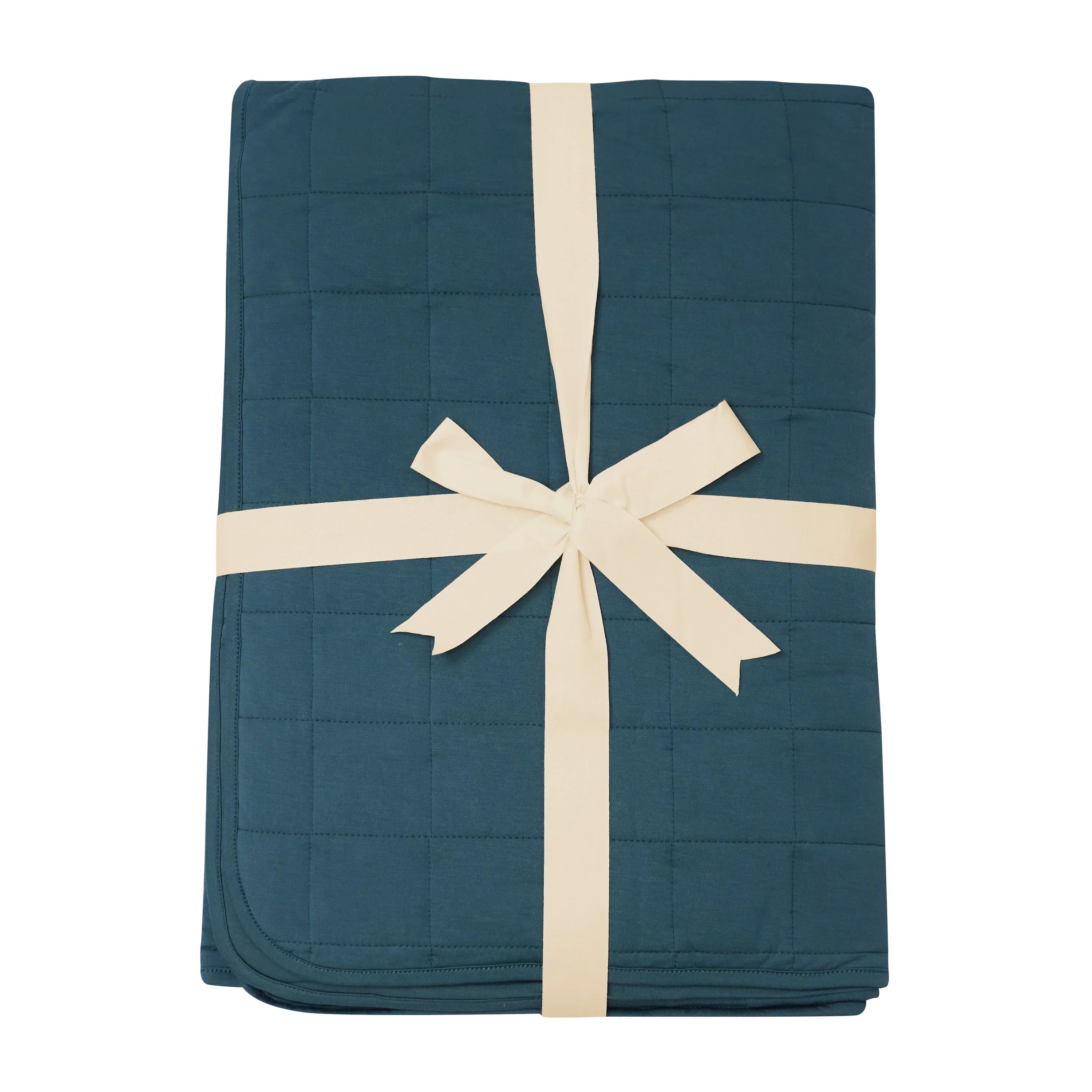 Youth Blanket in Atlantic 2.5 Secondary image