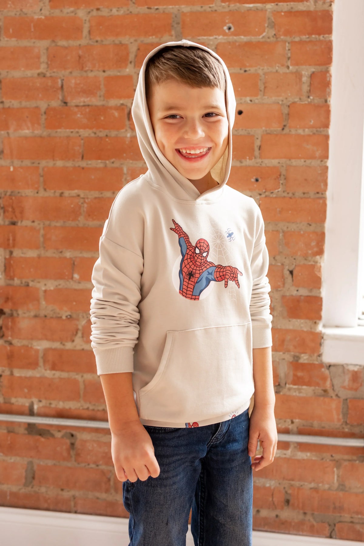 Hoodie in Spider-Man Main image