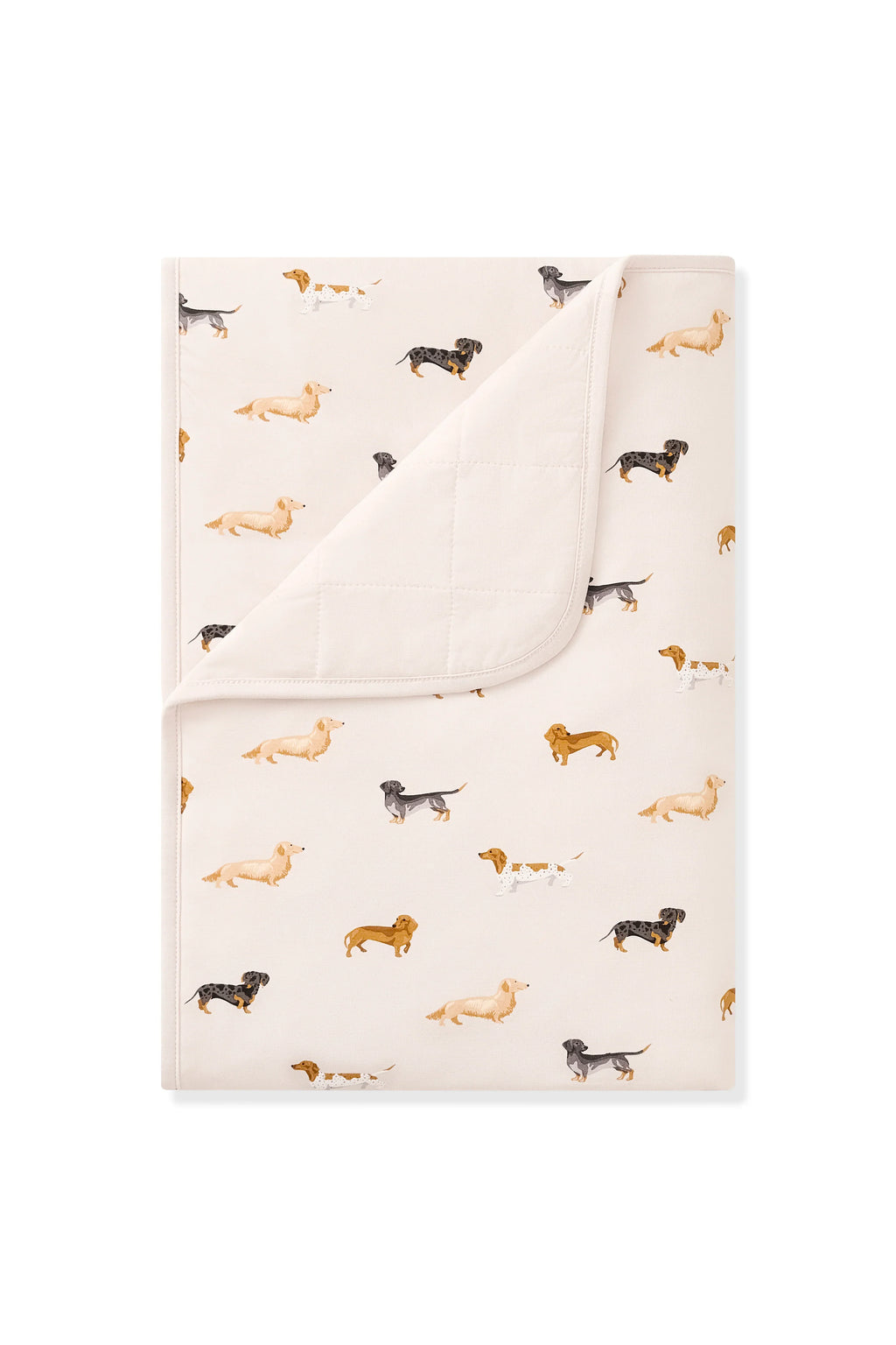 Toddler Blanket in Dachshund 1.0