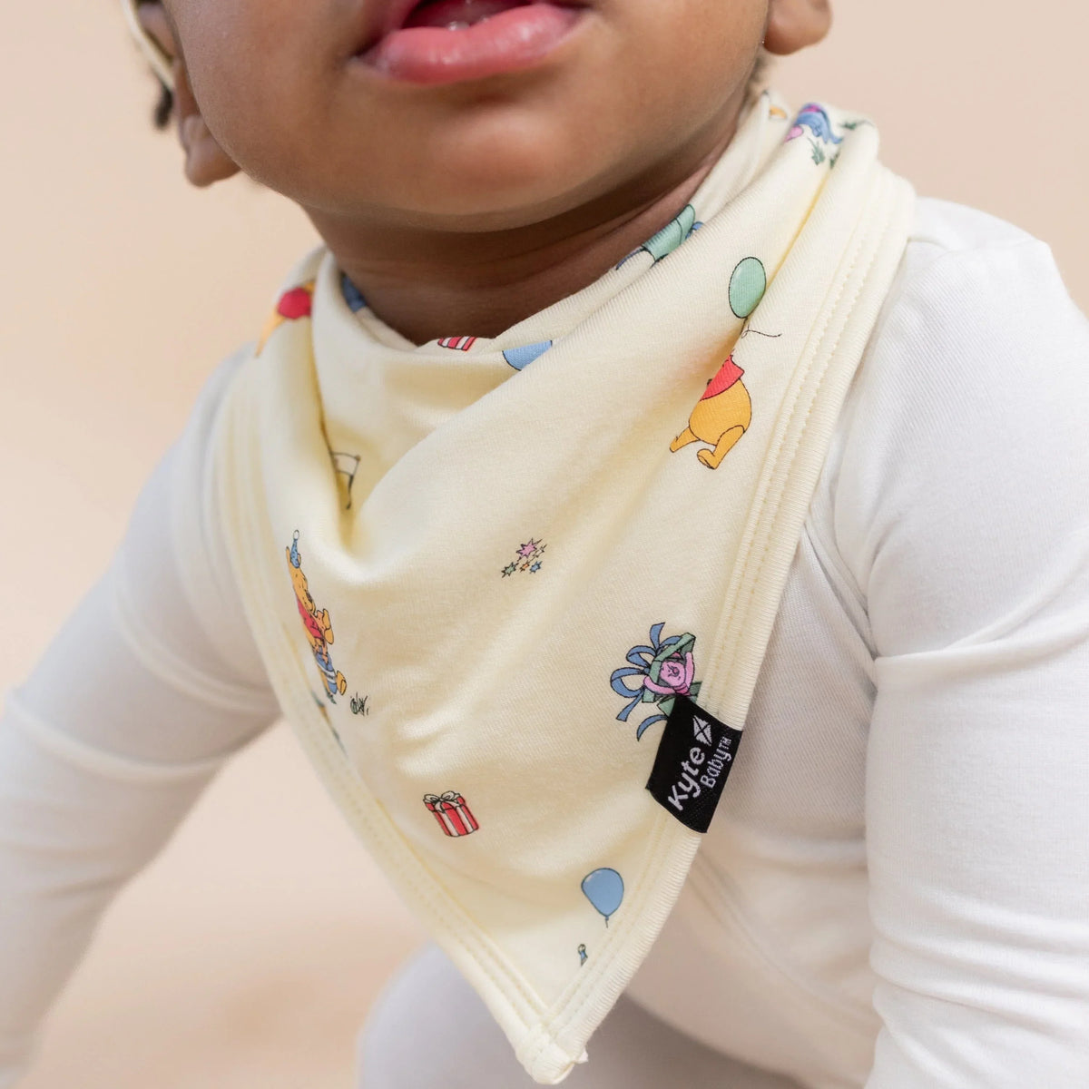 Bib in Winnie the Pooh Celebration Main image