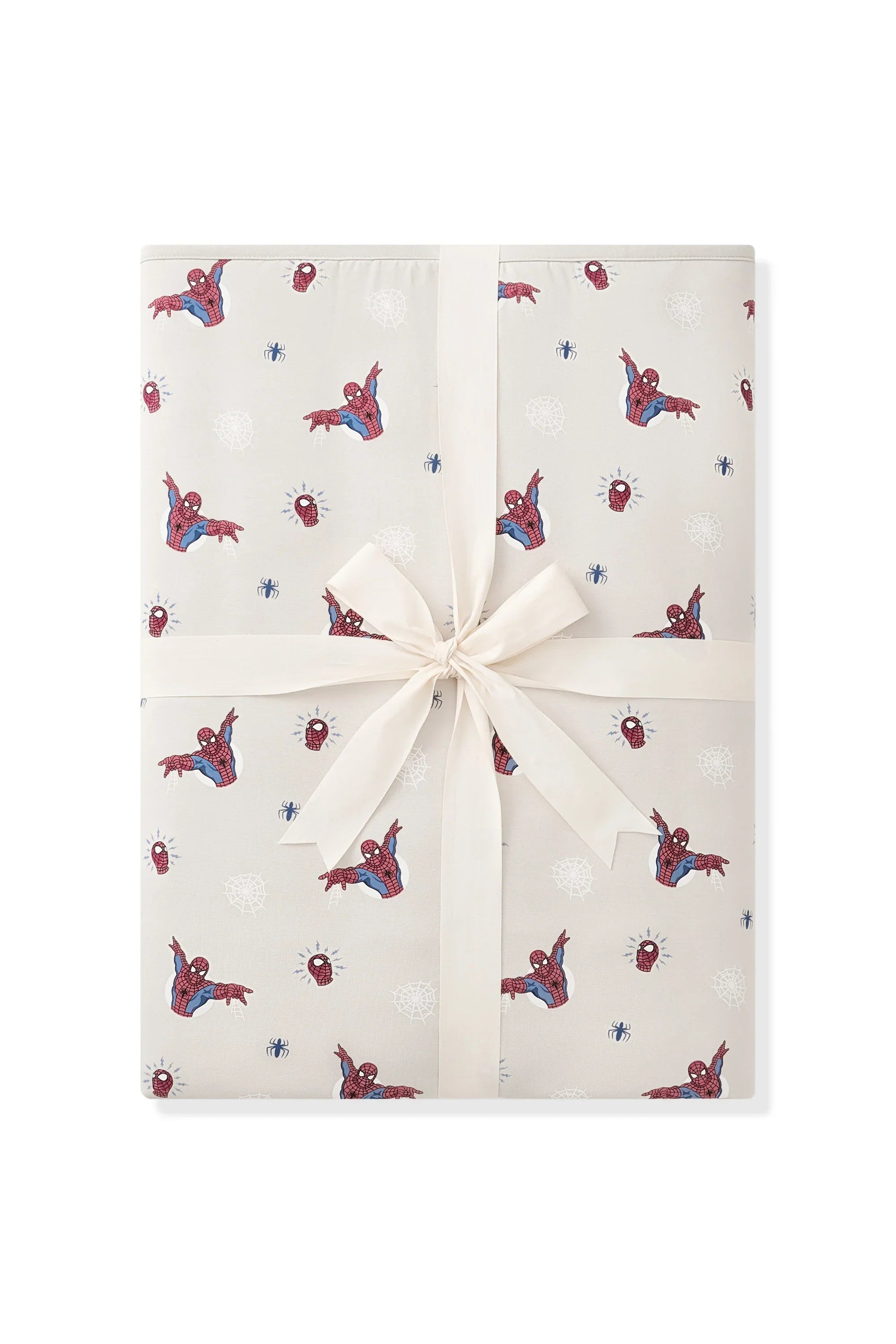 Youth Blanket in Spider-Man 2.5 Secondary image