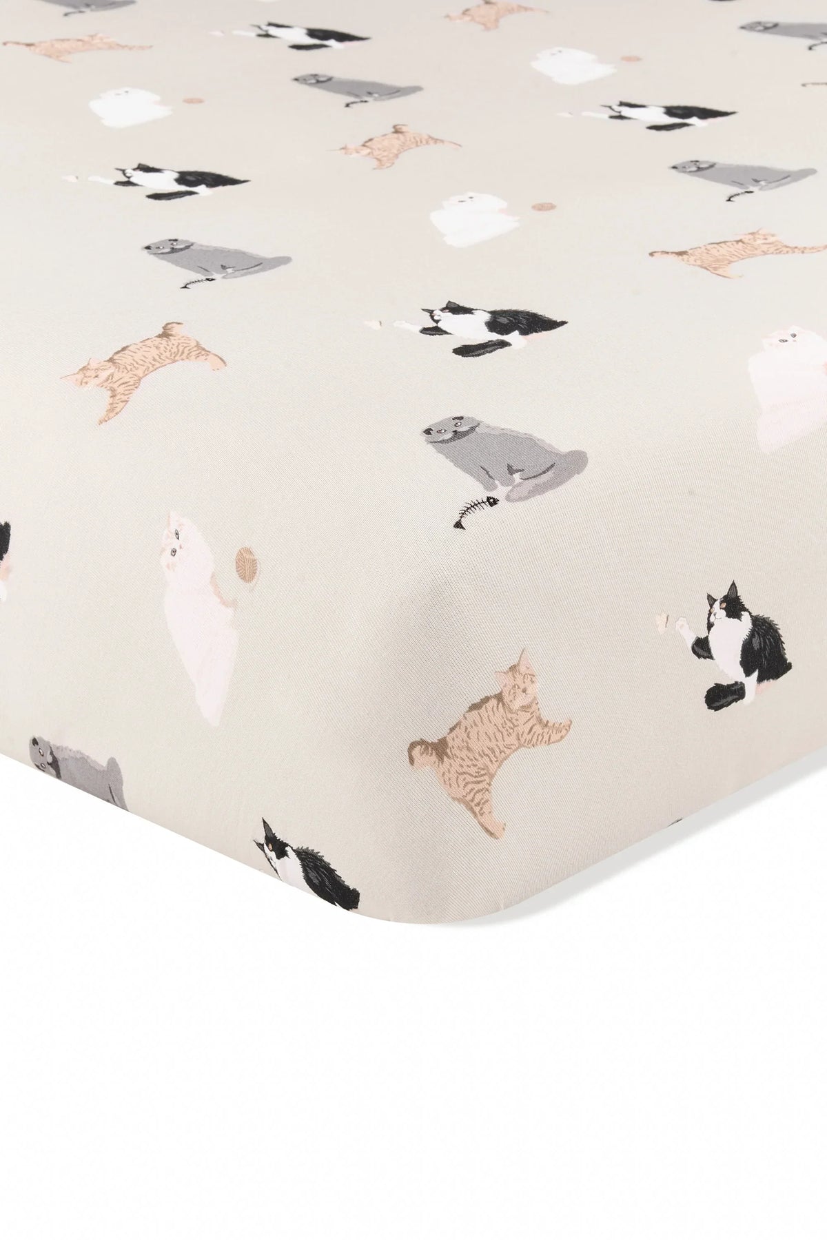 Twin Sheet in Fluffy Cat Main image