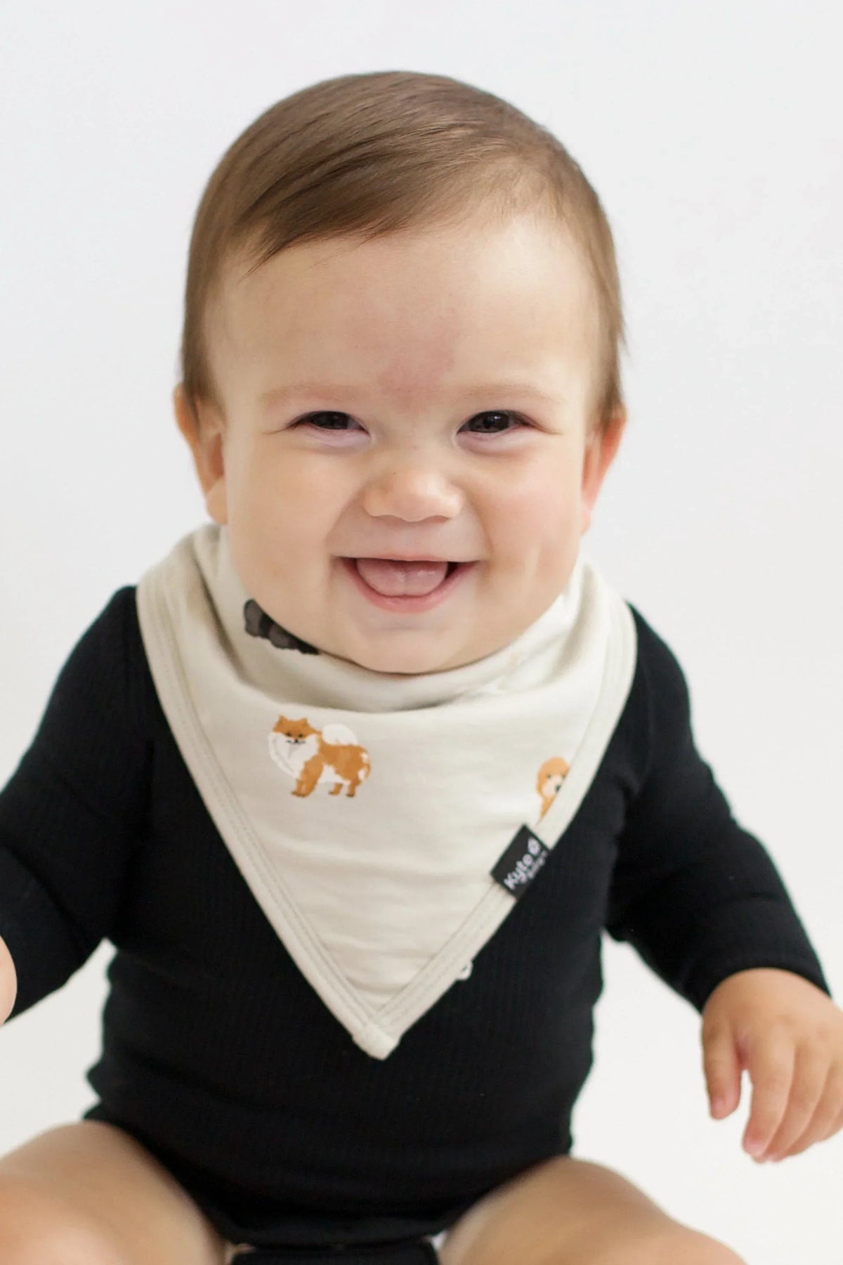 Bib in Fluffy Dog Main image