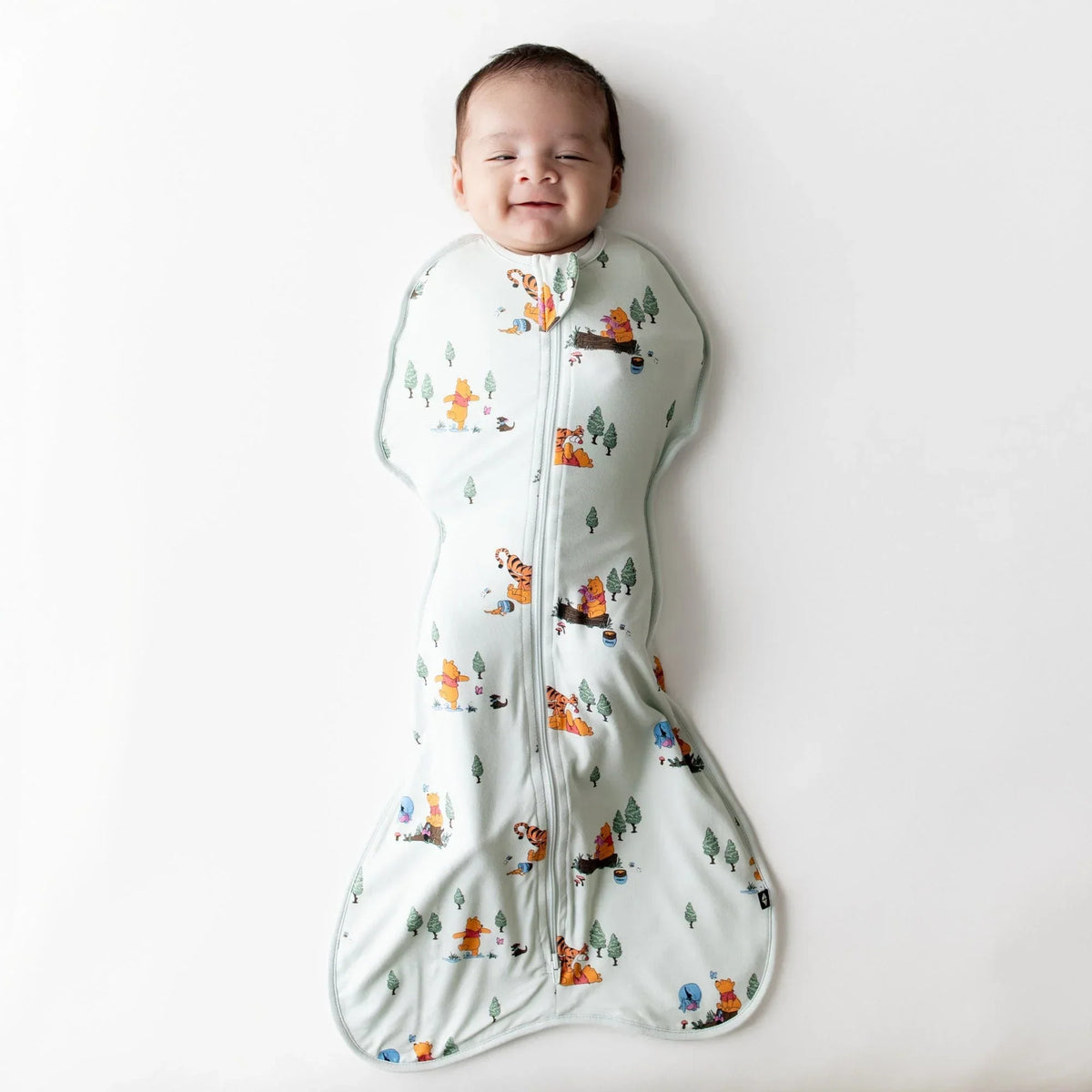 Swaddle Bag in Winnie the Pooh Hundred Acre Wood 0.5 Main image