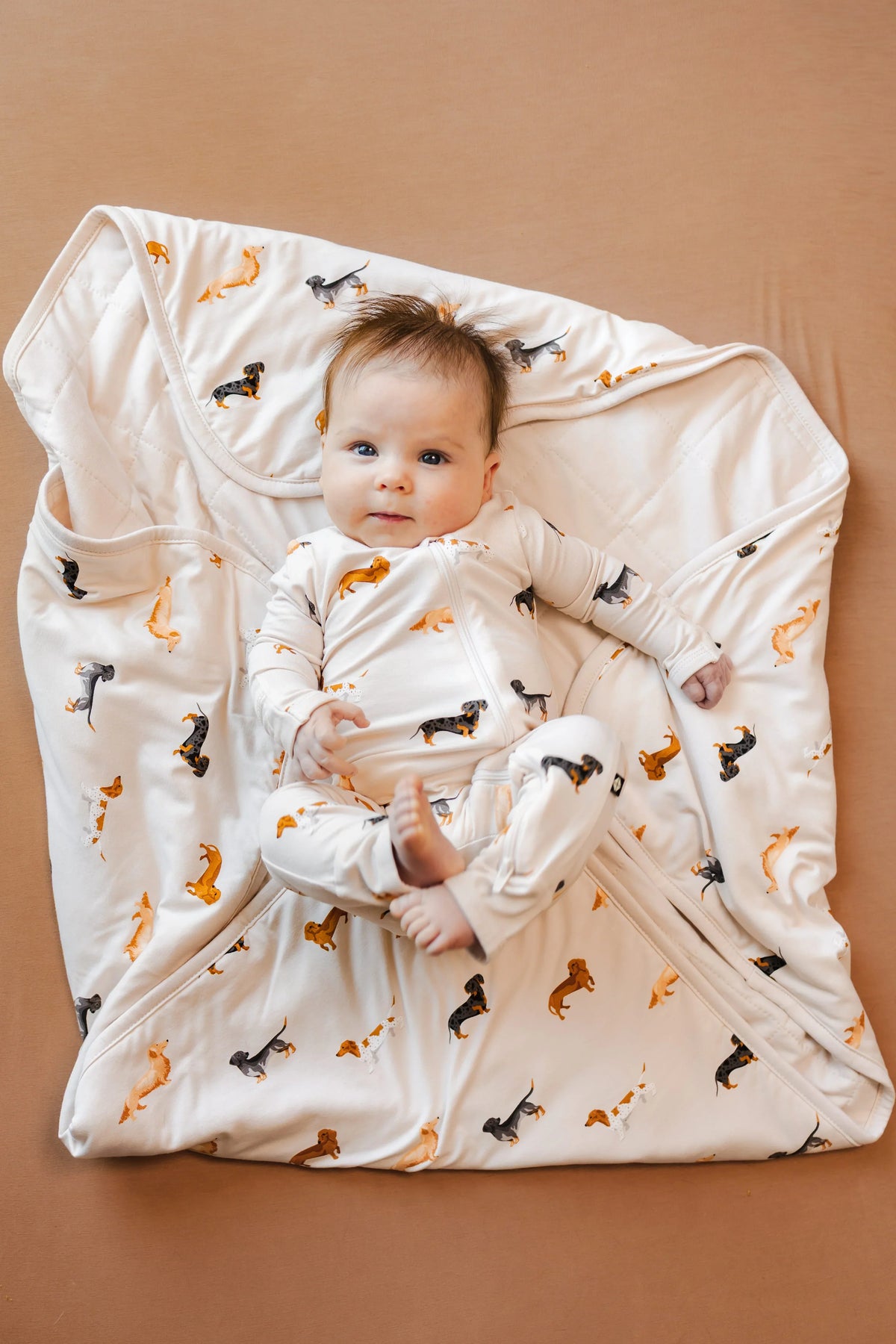 Baby Blanket in Dachshund 1.0 Main image