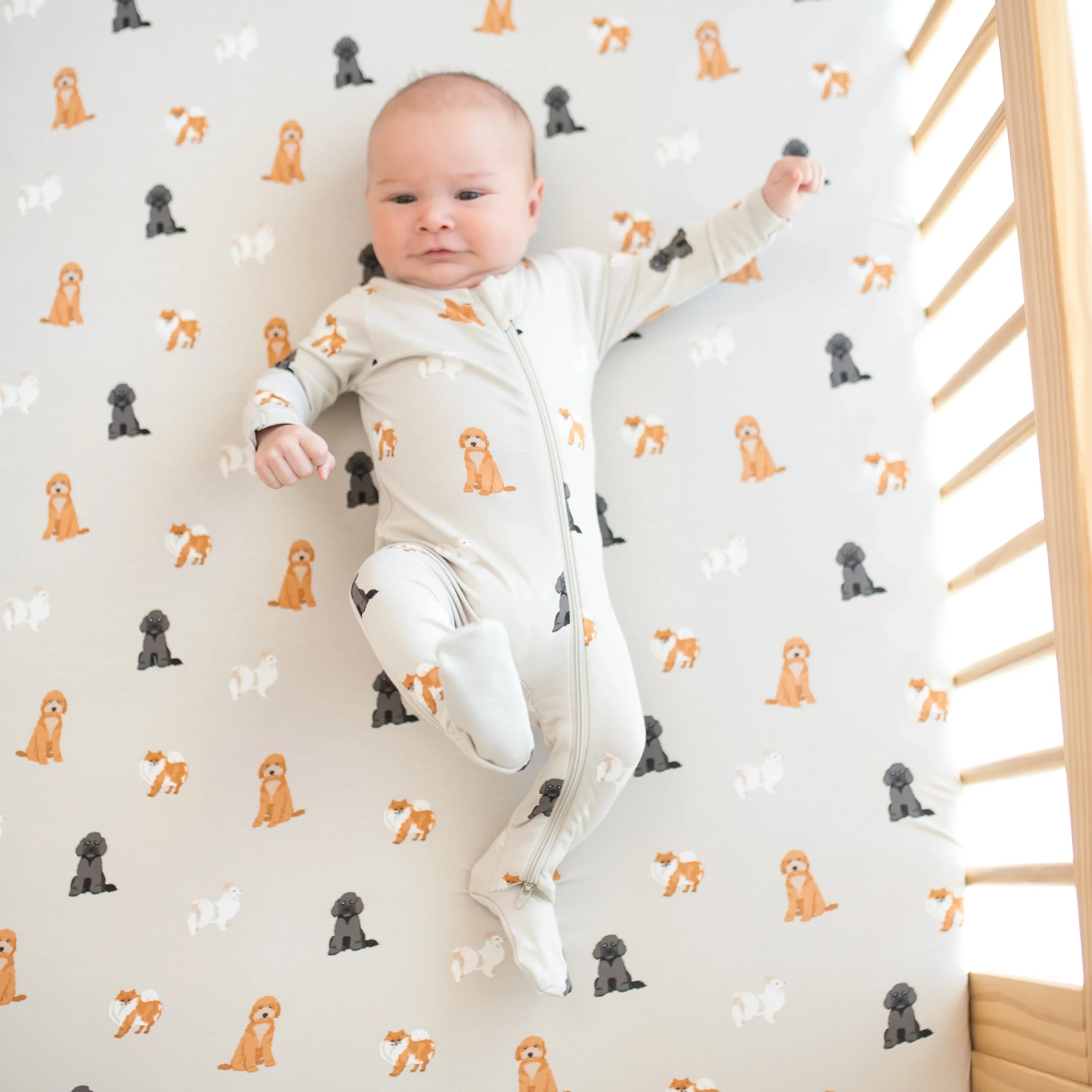 Crib Sheet in Fluffy Dog Secondary image