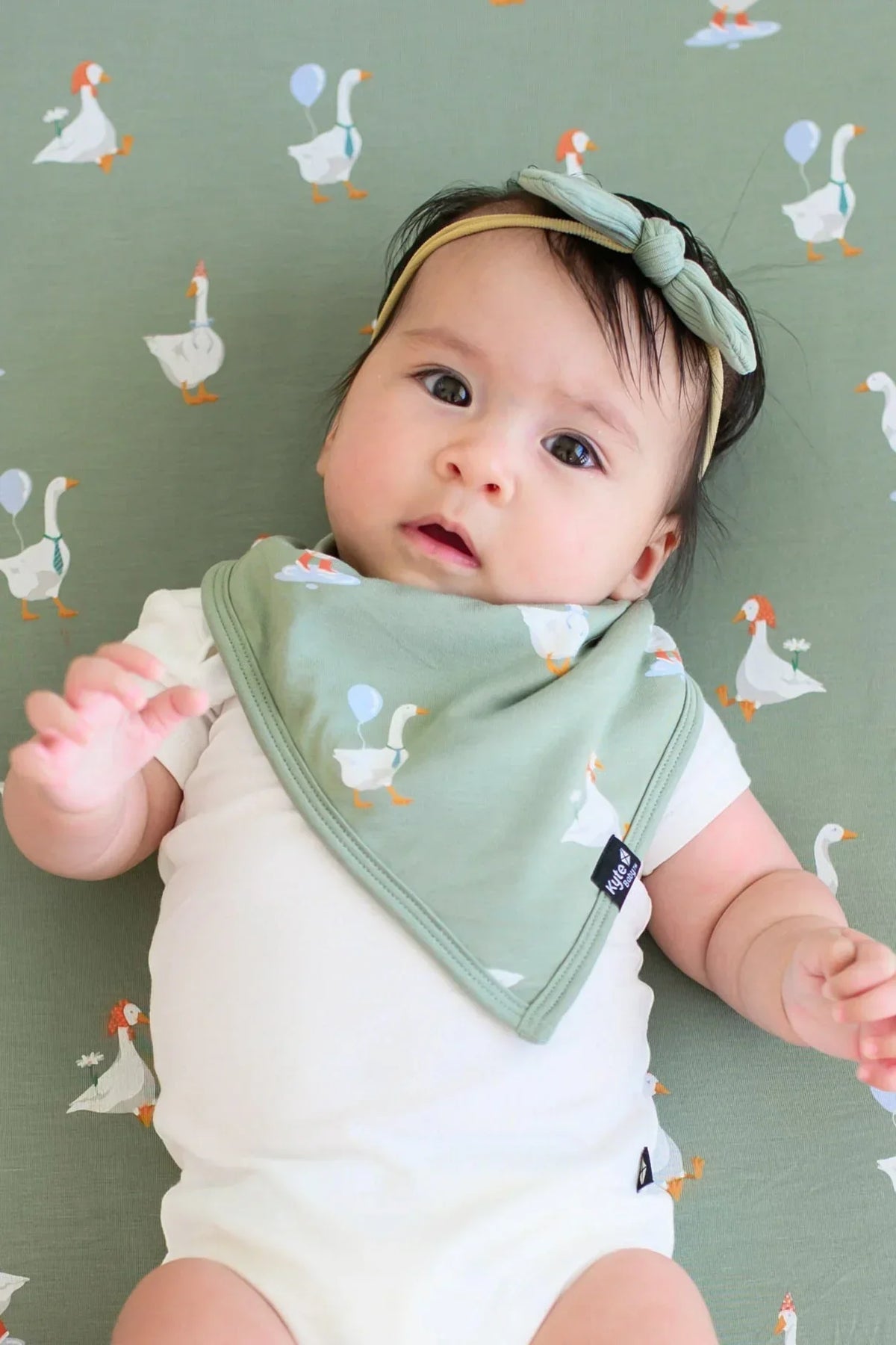 Bib in Silly Goose Main image