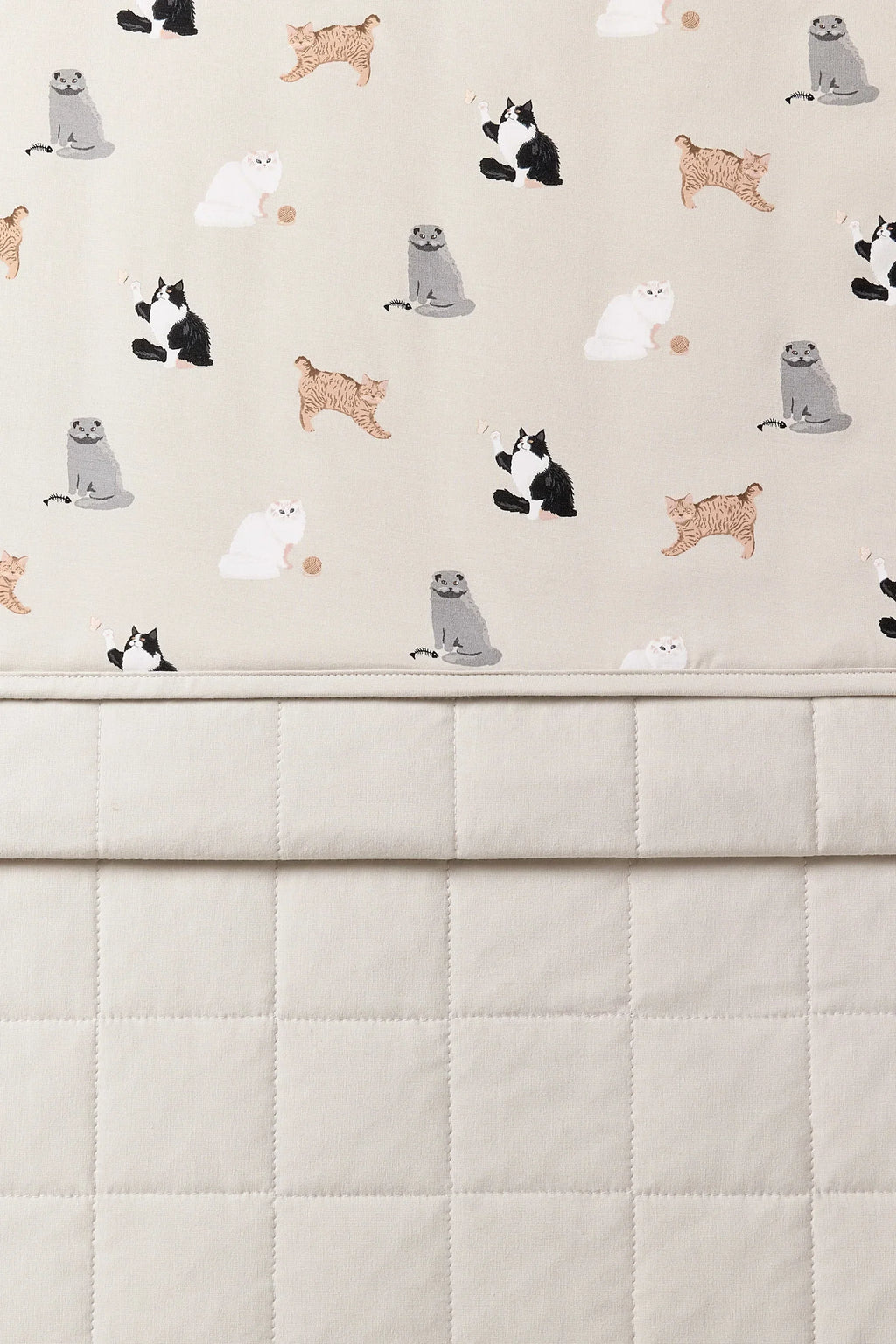 Youth Blanket in Fluffy Cat 1.0
