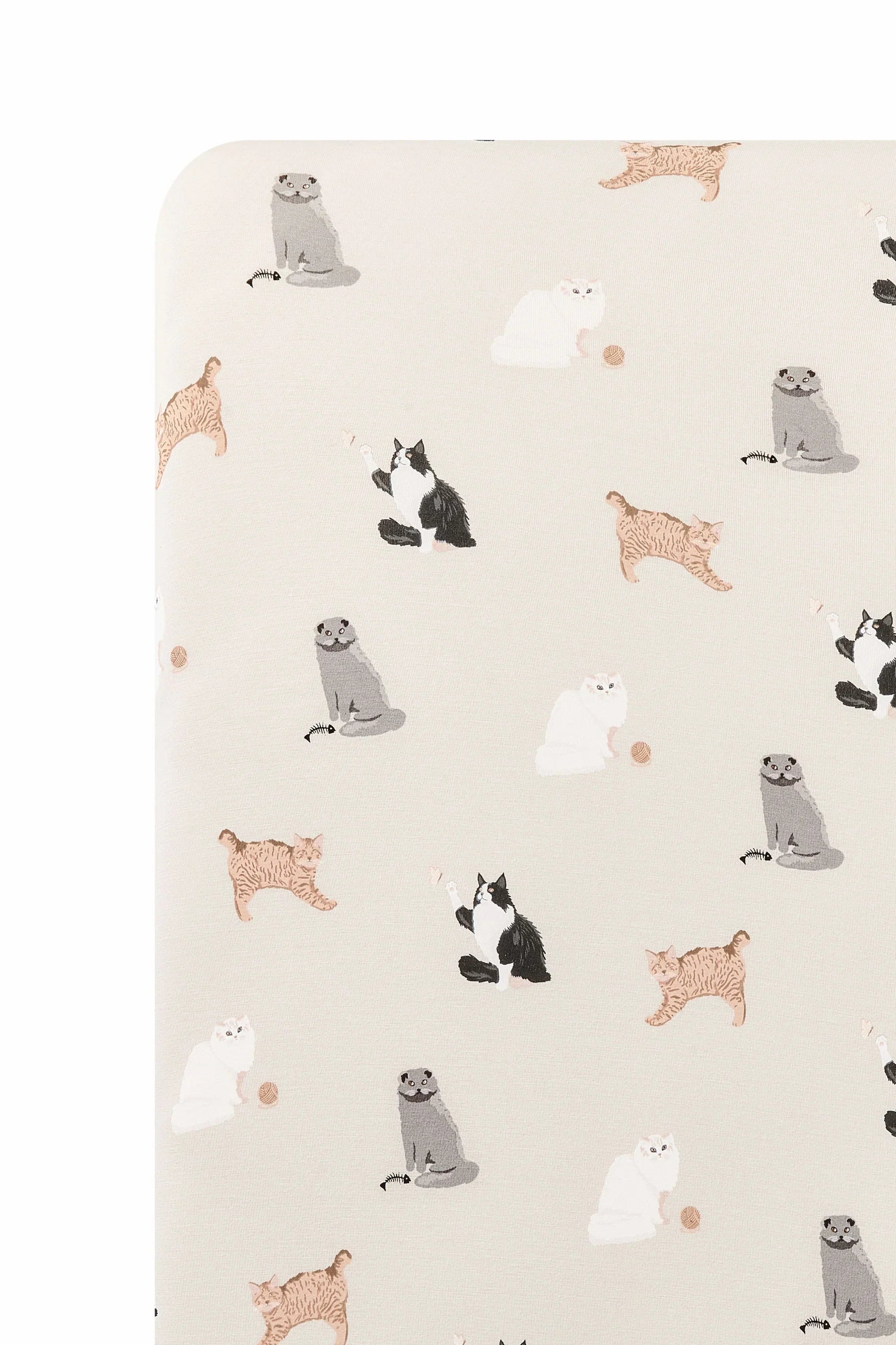 Twin Sheet in Fluffy Cat Secondary image