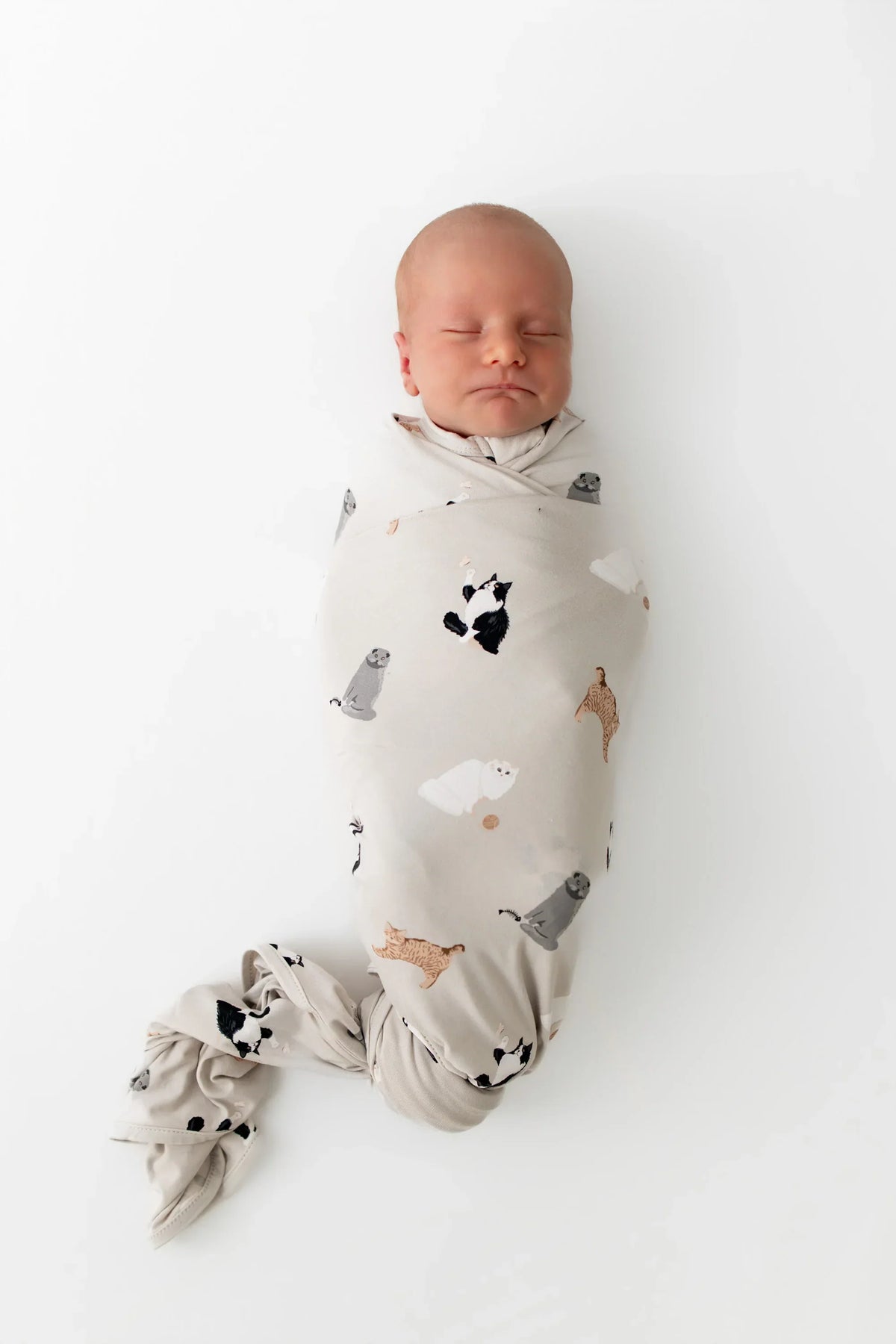 Swaddle Blanket in Fluffy Cat Main image