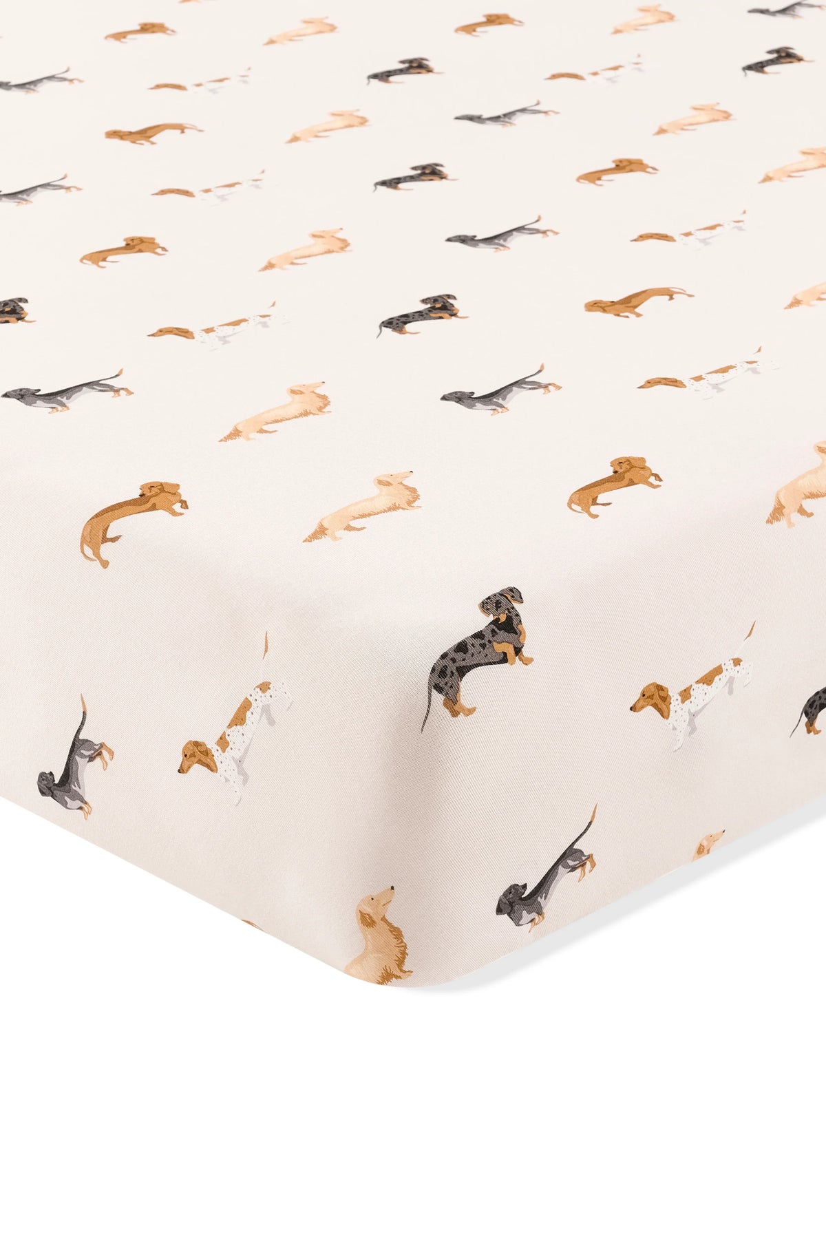Crib Sheet in Dachshund Main image