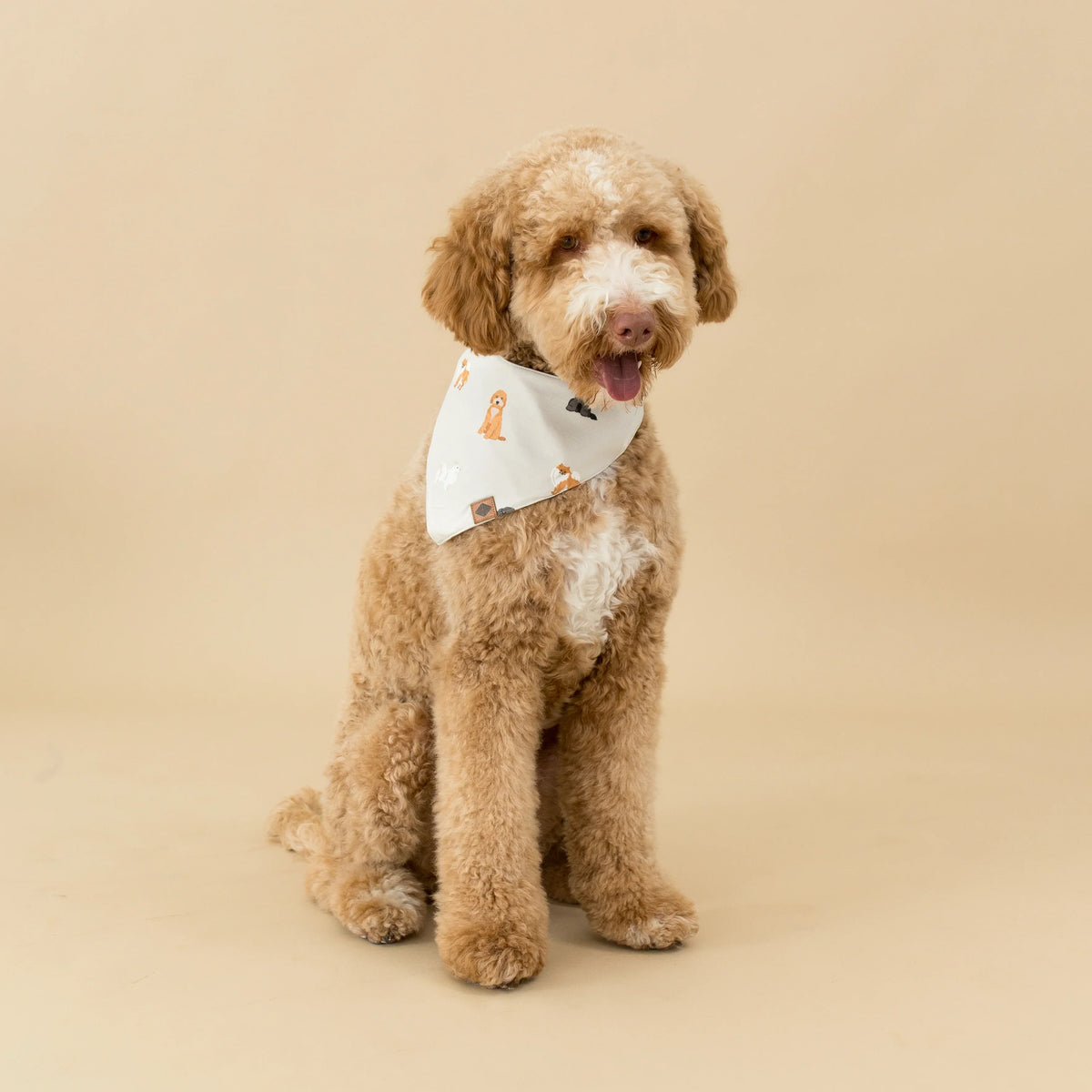 Dog Bandana in Fluffy Dog Main image