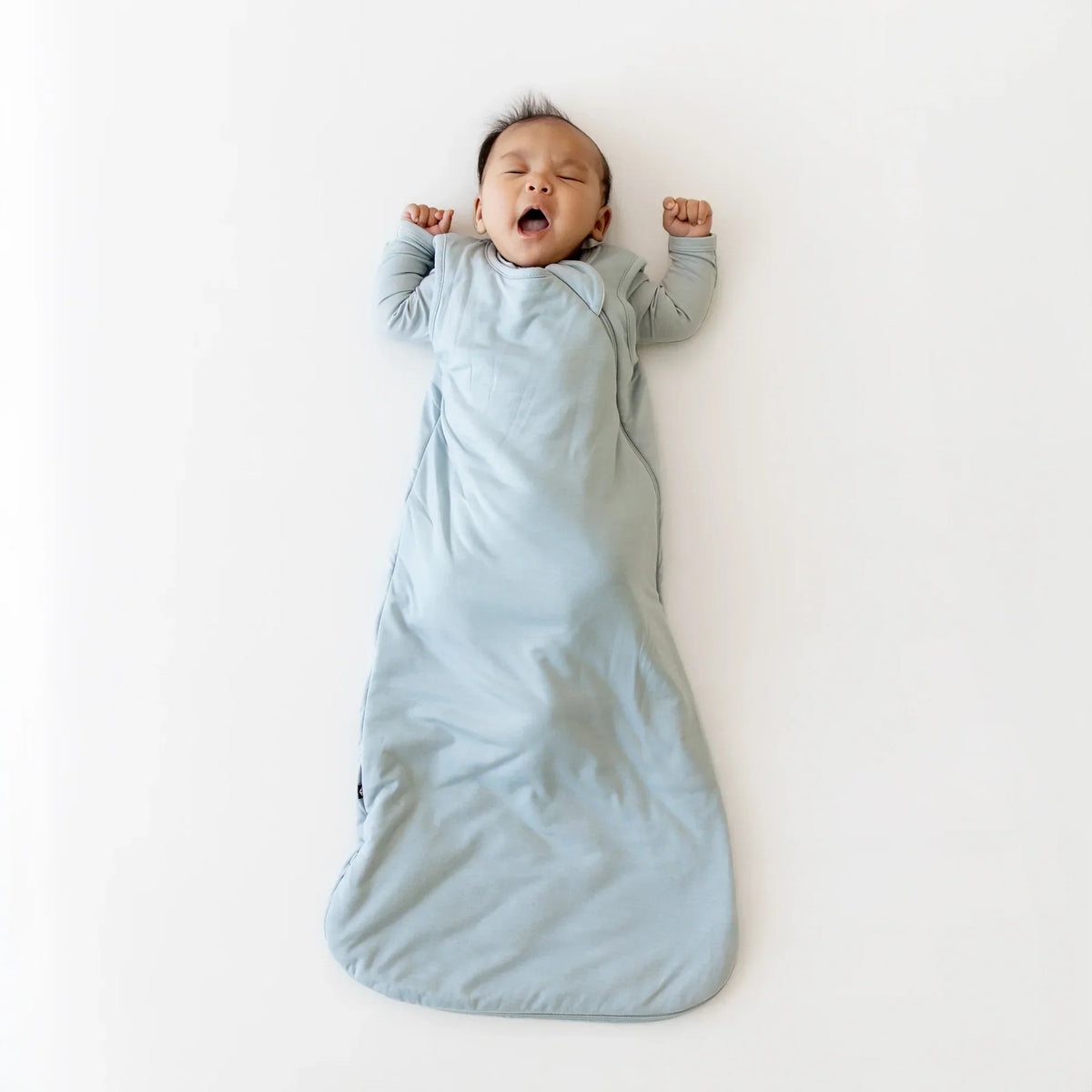 Sleep Bag in Fog 1.0 Main image