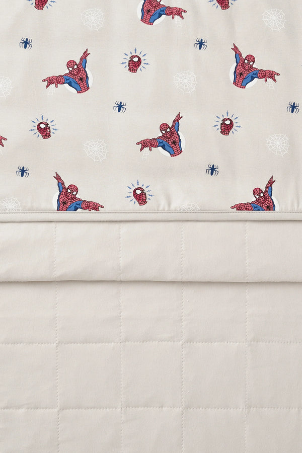 Baby Blanket in Spider-Man 1.0