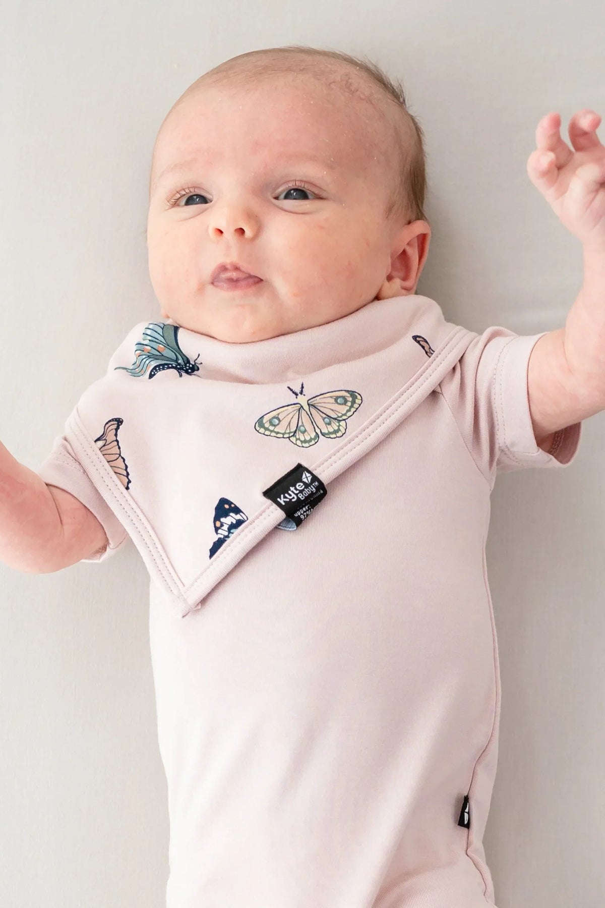 Bib in Blush Butterfly Main image
