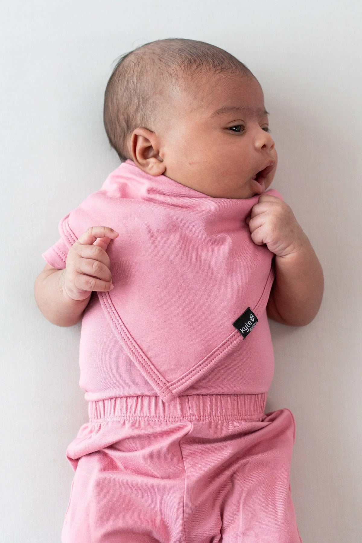 Bib in Apple Blossom Main image
