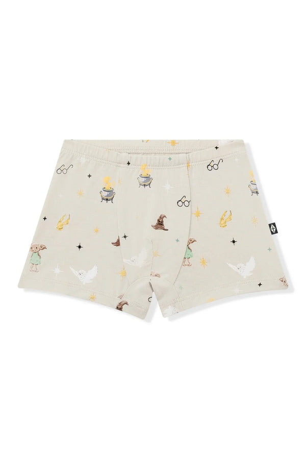 Briefs in Starry Icon