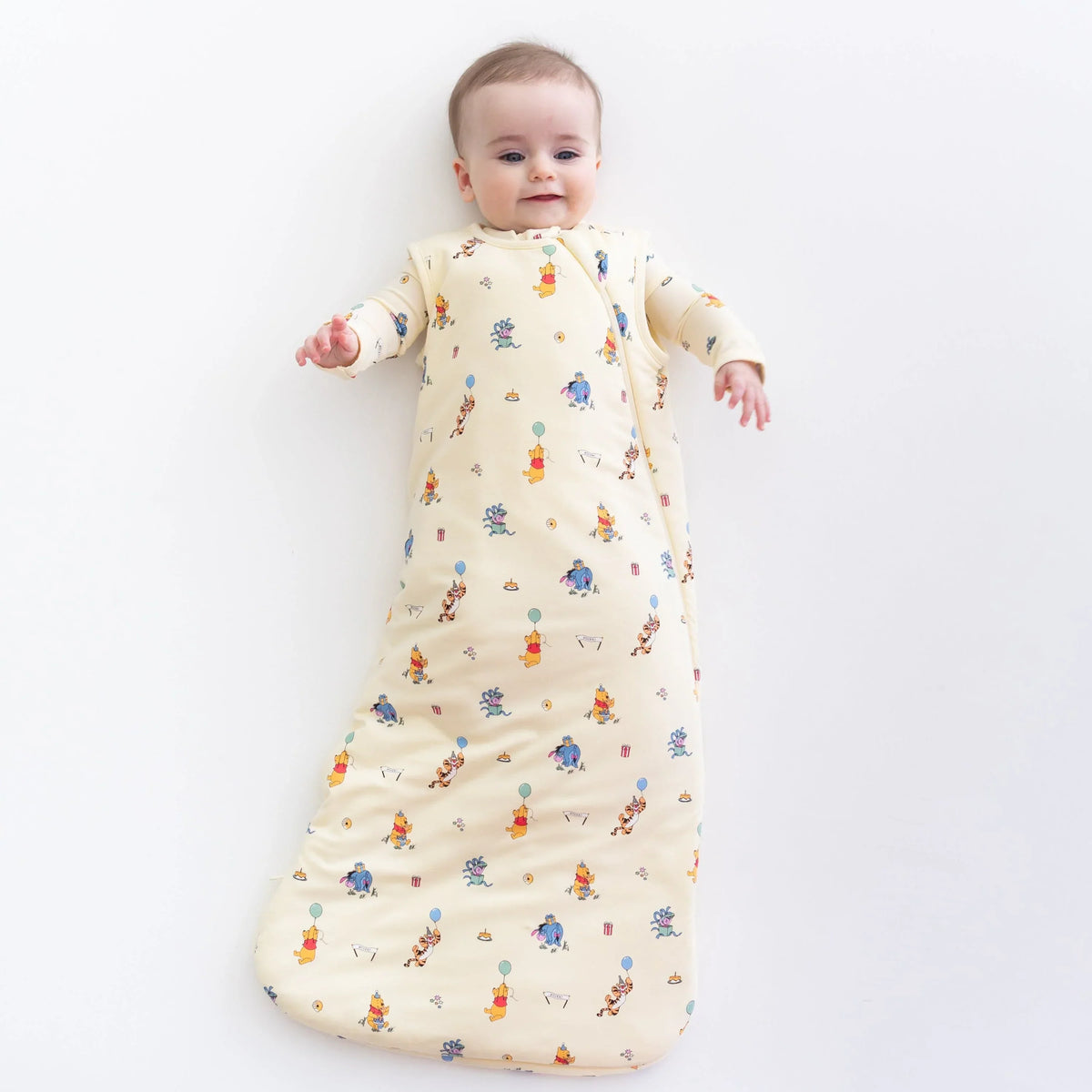 Sleep Bag in Winnie the Pooh Celebration 1.0 Main image