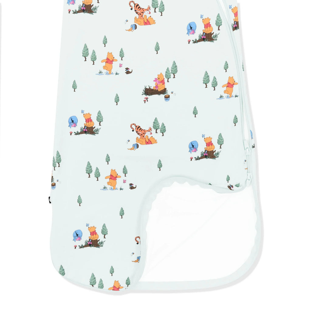 Sleep Bag in Winnie the Pooh Hundred Acre Wood 0.5