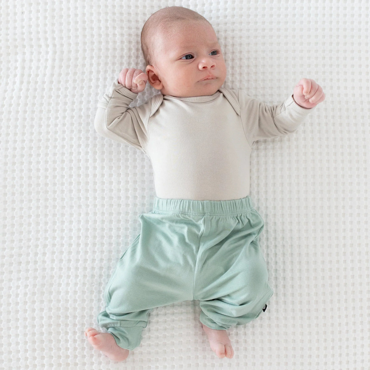 Pant in Sage Main image