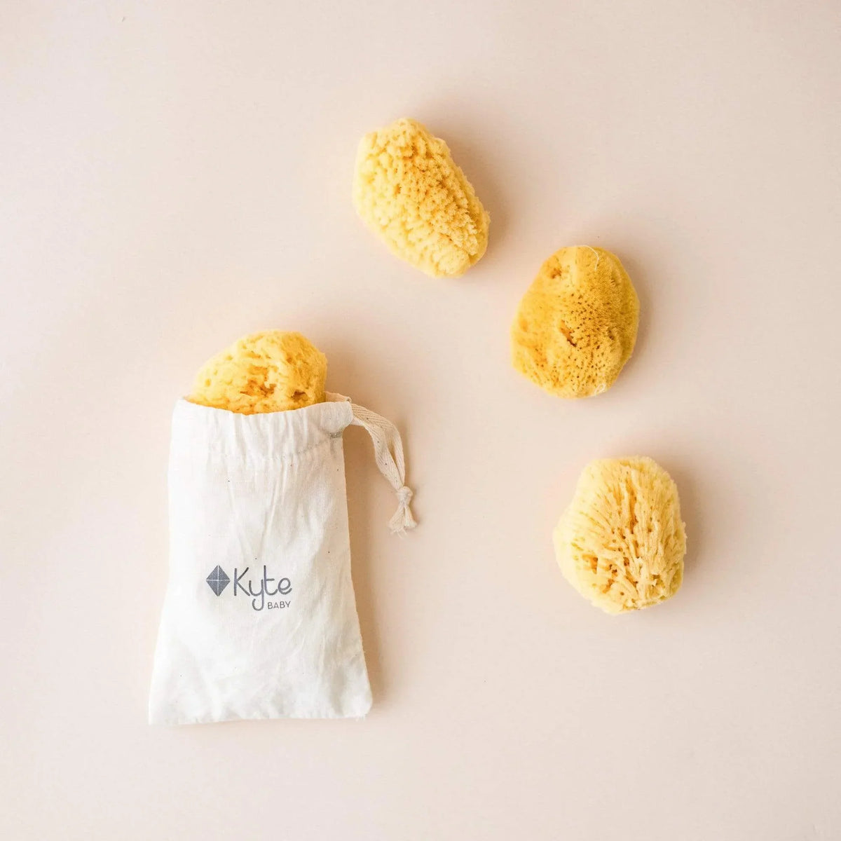 Face Sea Sponge - 4 Pack Bundle Main image