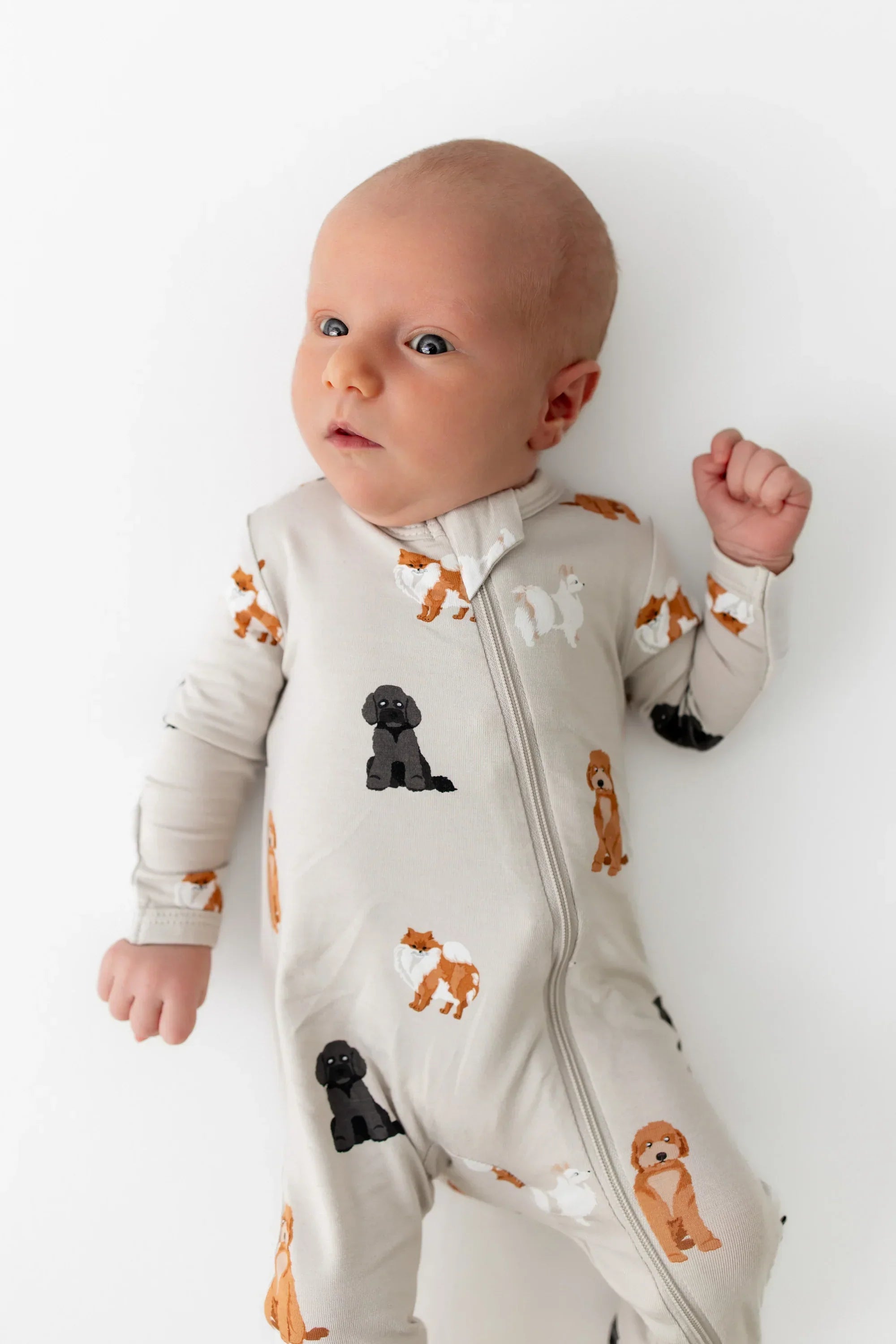 Zippered Romper in Fluffy Dog Secondary image