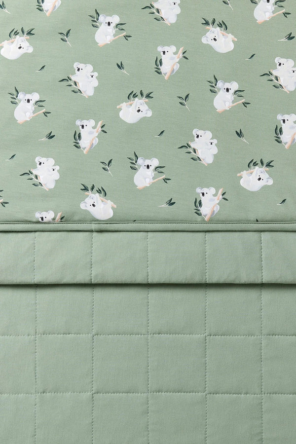 Youth Blanket in Koala 2.5