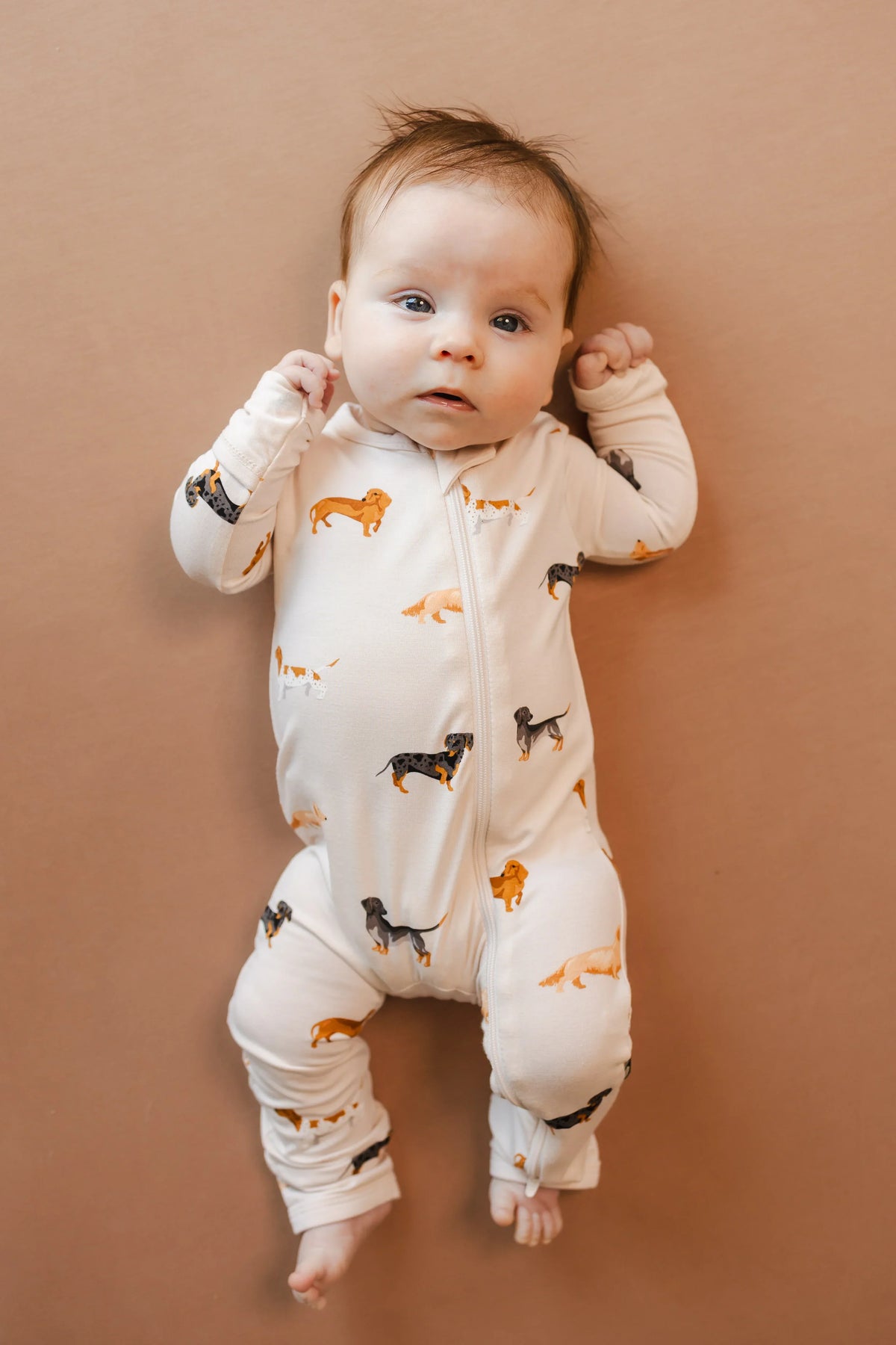 Zippered Romper in Dachshund Main image